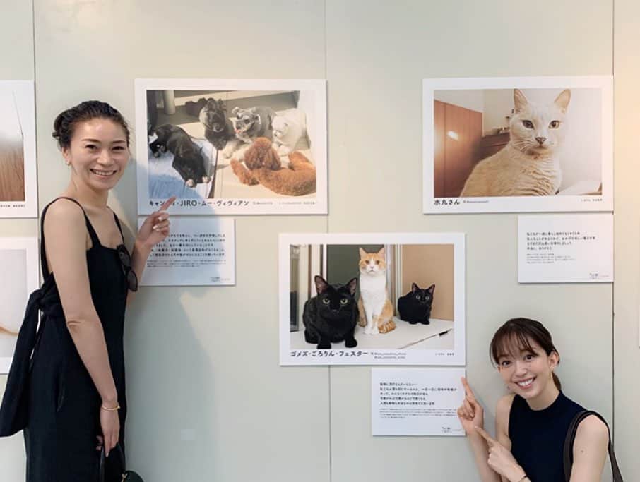 大日方久美子さんのインスタグラム写真 - (大日方久美子Instagram)「・ 昨日は @sippo_official の写真展 「みんな犬 みんな猫」に伺い、いつも犬や猫たちの為に奮闘してくださっている方々にお会いすることができました。  ジャーナリストの @toru_yamaji さんやモデルの @kuroda_chieko さんはテレビで野犬問題を取り上げてくださり、犬たちの味方となって現状を正しく伝えてくださっています。  ロウもキナリも元野犬。 でも人間に危害を加えることなく、むしろ皆んなを幸せな気持ちにしてくれています。  野犬が全て悪い。なんて短絡的な考えじゃなく、皆んな幸せにくらせる環境を考える日本になって欲しいな。 ・  @hana_matsushima_animal さんやタレントの @sayakaisoyama さん、そして東日本大震災をきっかけに犬や猫たちの救出を懸命にしてくださっている @oamihinanjyo.3 の大網さんともお会いでき、それぞれができることを見つけて、続けることの大切さを再確認してきました。 ・ 一時預かりや里親になることが大事。と、捉えがちですが、こうしたチャリティーイベントに足を運んで、グッズを買ったり、身近な人に保護猫・犬の存在を伝えることもとても大事なこと。 ・ 何より譲渡会にいる子たちの可愛さを知ってもらえたら嬉しいです！ (ロウにそっくりな女の子がいて悶絶してました😂❤️) ・ @sippo_official 写真展は19日まで！ ・ 全額寄付になるドネーションガチャもトライしてみてね！ (ムー様が当たったらご利益あるかも😂🙏🏻) ・ ・ #できることをできる人ができる時に  #sippo #保護犬を家族に  #保護犬 #里親募集中」8月17日 10時39分 - kumi511976