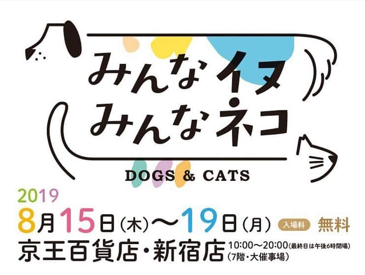 大日方久美子さんのインスタグラム写真 - (大日方久美子Instagram)「・ 昨日は @sippo_official の写真展 「みんな犬 みんな猫」に伺い、いつも犬や猫たちの為に奮闘してくださっている方々にお会いすることができました。  ジャーナリストの @toru_yamaji さんやモデルの @kuroda_chieko さんはテレビで野犬問題を取り上げてくださり、犬たちの味方となって現状を正しく伝えてくださっています。  ロウもキナリも元野犬。 でも人間に危害を加えることなく、むしろ皆んなを幸せな気持ちにしてくれています。  野犬が全て悪い。なんて短絡的な考えじゃなく、皆んな幸せにくらせる環境を考える日本になって欲しいな。 ・  @hana_matsushima_animal さんやタレントの @sayakaisoyama さん、そして東日本大震災をきっかけに犬や猫たちの救出を懸命にしてくださっている @oamihinanjyo.3 の大網さんともお会いでき、それぞれができることを見つけて、続けることの大切さを再確認してきました。 ・ 一時預かりや里親になることが大事。と、捉えがちですが、こうしたチャリティーイベントに足を運んで、グッズを買ったり、身近な人に保護猫・犬の存在を伝えることもとても大事なこと。 ・ 何より譲渡会にいる子たちの可愛さを知ってもらえたら嬉しいです！ (ロウにそっくりな女の子がいて悶絶してました😂❤️) ・ @sippo_official 写真展は19日まで！ ・ 全額寄付になるドネーションガチャもトライしてみてね！ (ムー様が当たったらご利益あるかも😂🙏🏻) ・ ・ #できることをできる人ができる時に  #sippo #保護犬を家族に  #保護犬 #里親募集中」8月17日 10時39分 - kumi511976