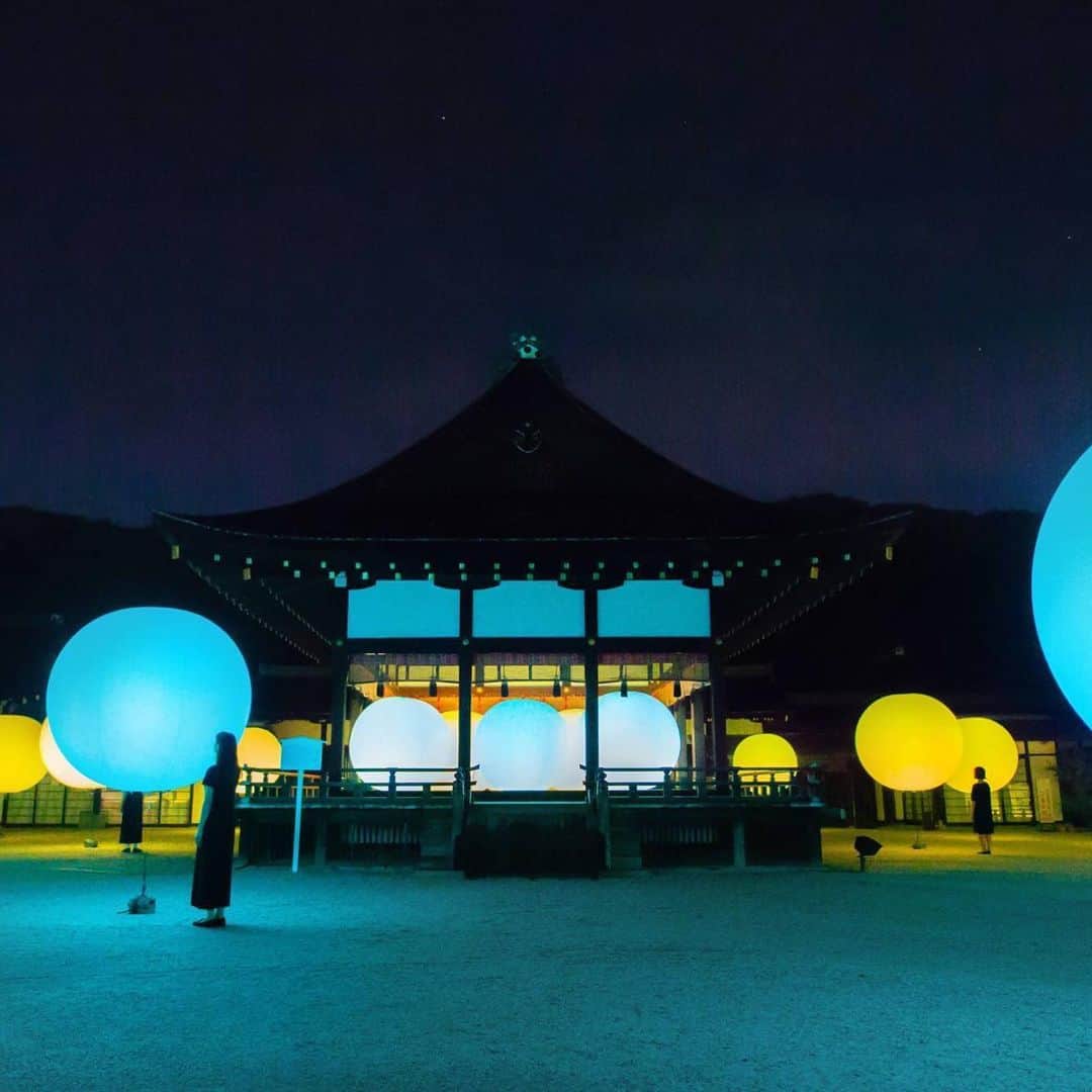 猪子寿之のインスタグラム：「#世界遺産 #下鴨神社  #チームラボ  8/17 - 9/2 night #teamlab #worldheritage #shimogamo #forest #Kyoto  https://www.teamlab.art/jp/e/shimogamo/」