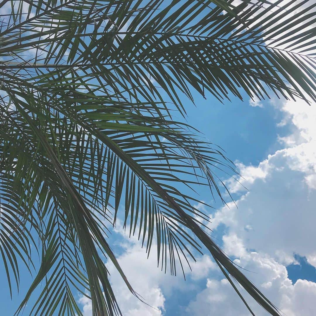 清川芽生のグルメインスタ