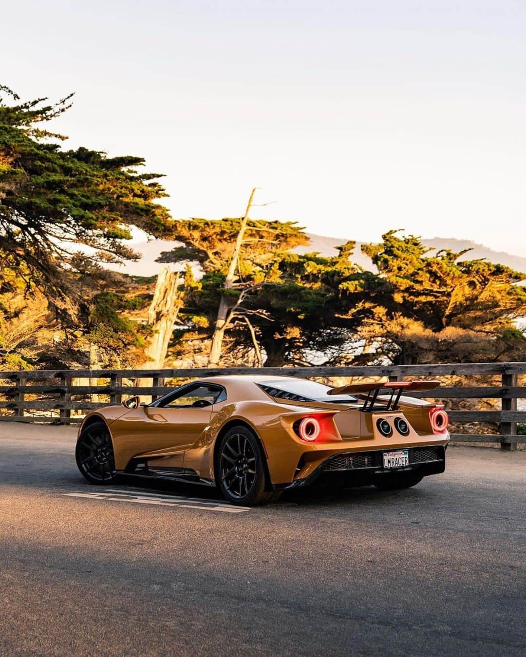 CarsWithoutLimitsさんのインスタグラム写真 - (CarsWithoutLimitsInstagram)「Gold Ford GT Photo @alexbabington  #carswithoutlimits #fordgt」8月17日 20時20分 - carswithoutlimits