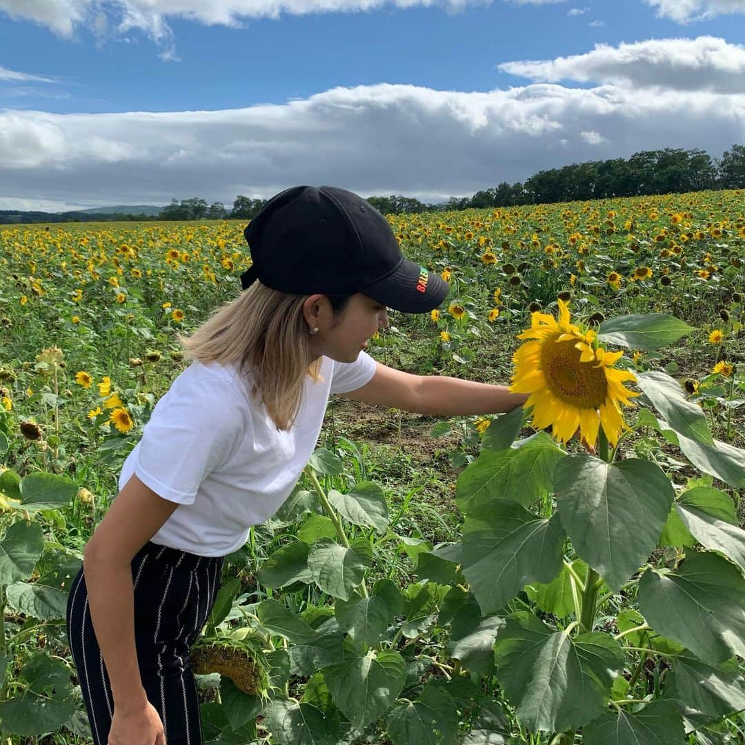 Rihwaさんのインスタグラム写真 - (RihwaInstagram)「北竜町ひまわりの里🌻🌻🌻 明日の湧別町の夏祭りに向けて車で走る途中、ちょっと寄り道して行ってみたかったひまわりの里へ行ってきました！！！🌻🌻🌻🌻🌻🌻🌻🌻🌻🌻🌻🌻 貸し自転車に乗ってひまわり畑を一望してきたよー！！！！見渡す限りひまわり畑で圧巻でした！！！！😍🌈🌻☀️ #Rihwa #北竜町 #ひまわりの里 #ひまわり畑」8月17日 20時25分 - rihwa_official