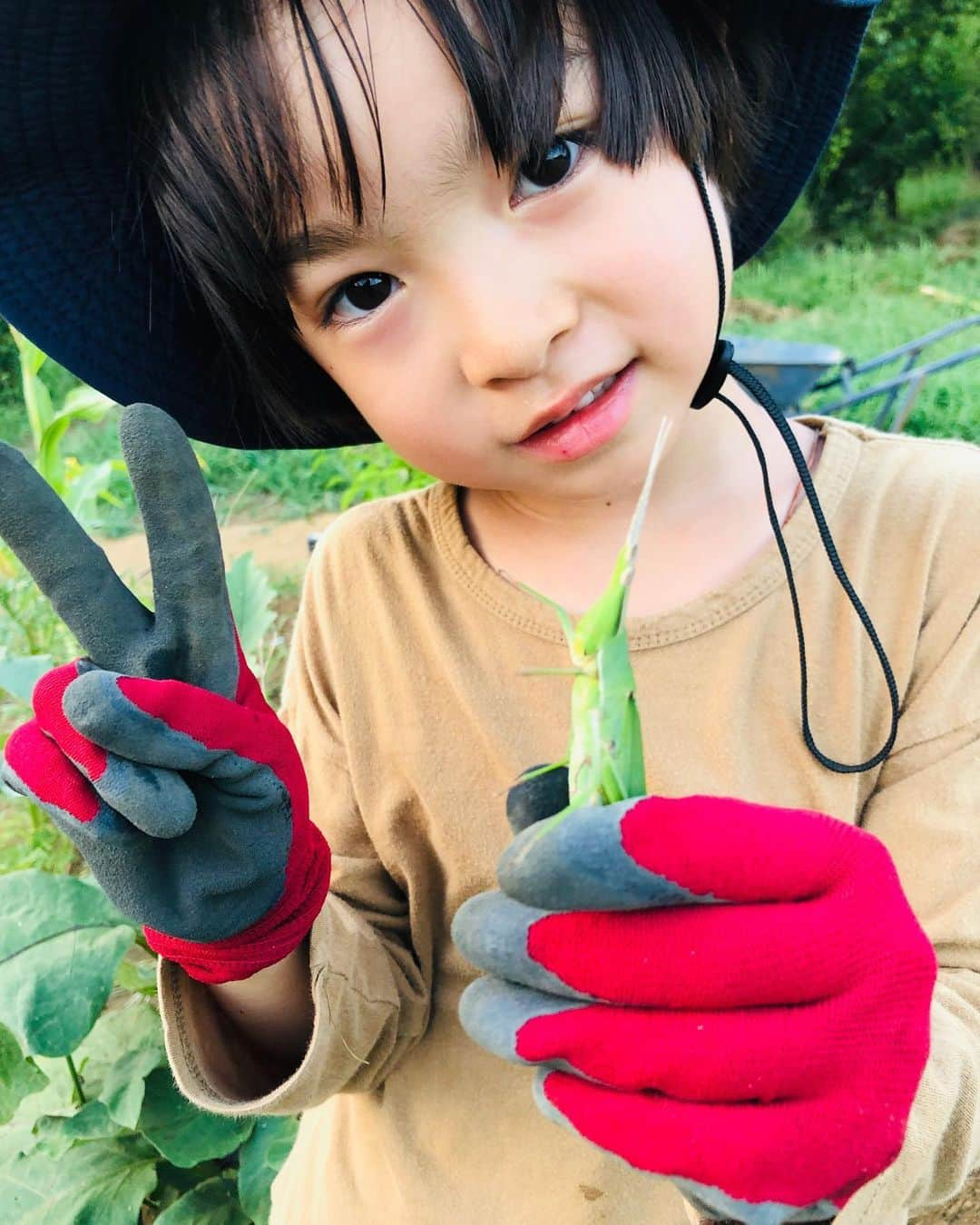 Shogoさんのインスタグラム写真 - (ShogoInstagram)「🍅🍆☀️ #三豊ナス #目指せ辛子漬け #蚊とのたたかい #息子ほぼ虫取り #velbed農園」8月17日 20時35分 - shogo_velbed