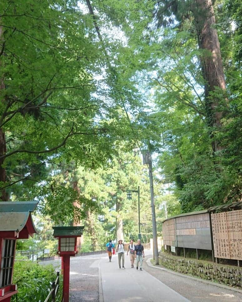 桜花さんのインスタグラム写真 - (桜花Instagram)「今日はひょうきんな山登りでした＼(^^)／🗻🗻🗻🌷 暑いけれど時折吹く風が気持ちよくて  爽やかでしたよ🌷🌷🌷 #高尾山  #山登り  #ヤッホー #mountain  #mountains #山」8月17日 21時11分 - mountainohka