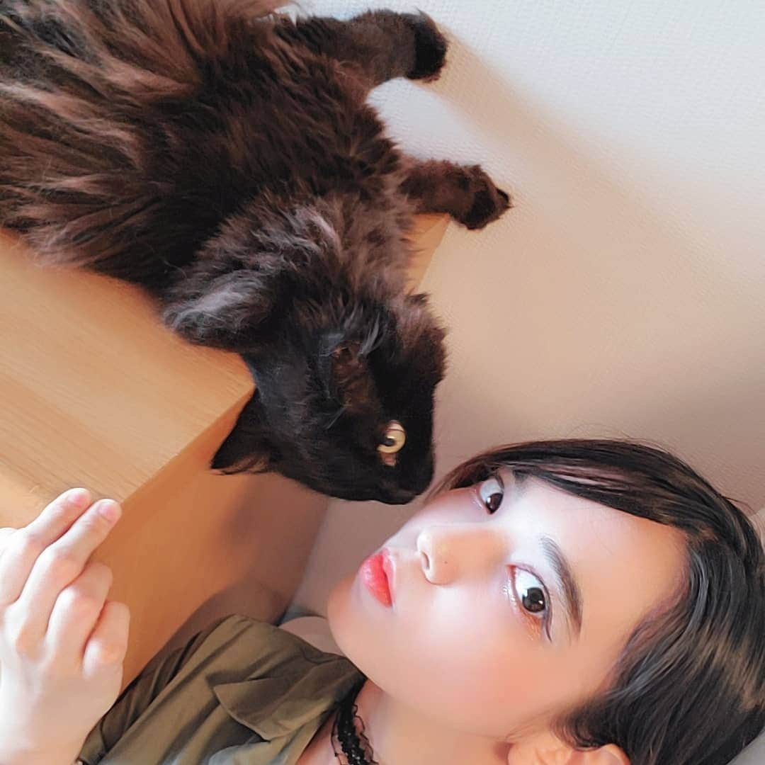 安田サラさんのインスタグラム写真 - (安田サラInstagram)「ㅤㅤㅤㅤㅤㅤㅤㅤㅤㅤㅤㅤㅤ ㅤㅤㅤㅤㅤㅤㅤㅤㅤㅤㅤㅤㅤ 従妹宅のﾈｺﾁｬﾝ恋しい…行くたび忘れられて行くたびちょっと仲良くなってバイバイする笑 一週間フレンズ状態 笑 ㅤㅤㅤㅤㅤㅤㅤㅤㅤㅤㅤㅤㅤ 明日は #シューイチ ☝ 早寝早起き😌 ㅤㅤㅤㅤㅤㅤㅤㅤㅤㅤㅤㅤㅤ ㅤㅤㅤㅤㅤㅤㅤㅤㅤㅤㅤㅤㅤ #安田サラ #SaraYasuda #猫 #cat  ﾈｺﾁｬﾝの名前はチョコちゃんです😌」8月17日 21時20分 - yasuda_sara