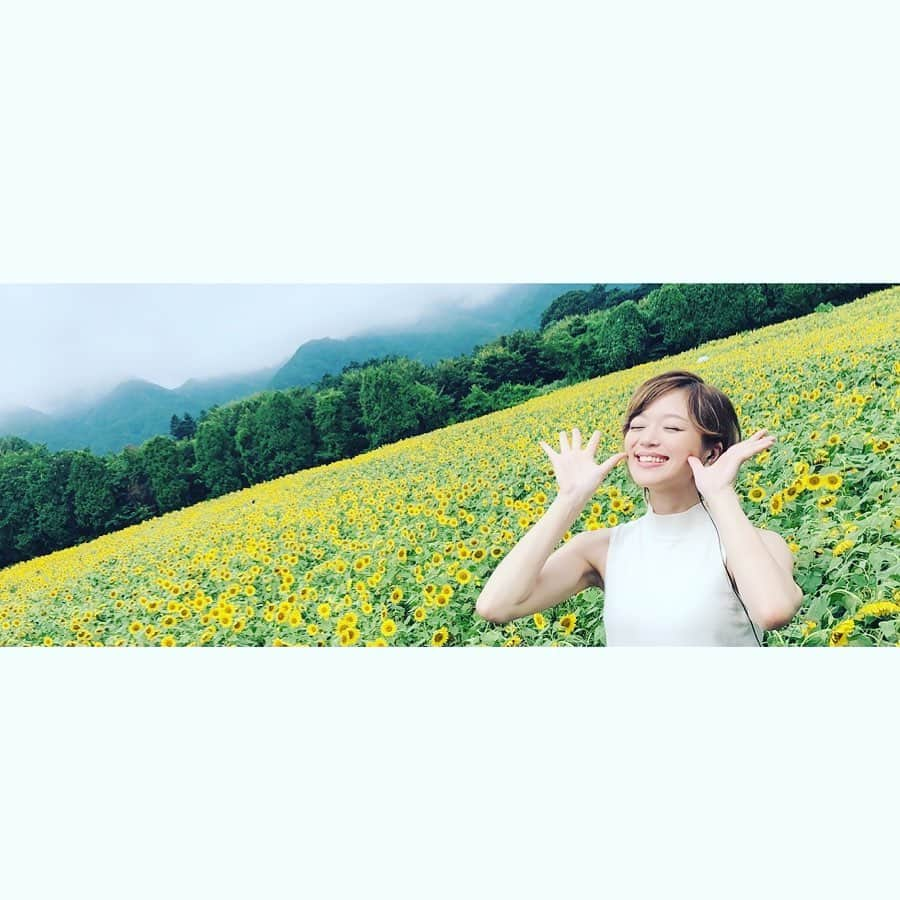 葛巻舞香さんのインスタグラム写真 - (葛巻舞香Instagram)「🌻🌻🌻 #向日葵 #ひまわり #🌻 #ひまちゃん #ひまわり畑 #煙山ひまわりパーク #強く逞しく #太陽に向かって咲く花 #元気をくれる花 #満開の笑顔 #まっすぐ #上へ上へ #ひまわりのように生きたい」8月17日 21時23分 - maika.kzm