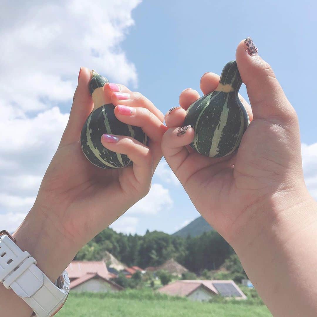 髙橋莉瑚さんのインスタグラム写真 - (髙橋莉瑚Instagram)「観賞用のかぼちゃ見っけ😜 #かぼちゃ #自然 #いとこ」8月17日 12時36分 - rikorin_0927