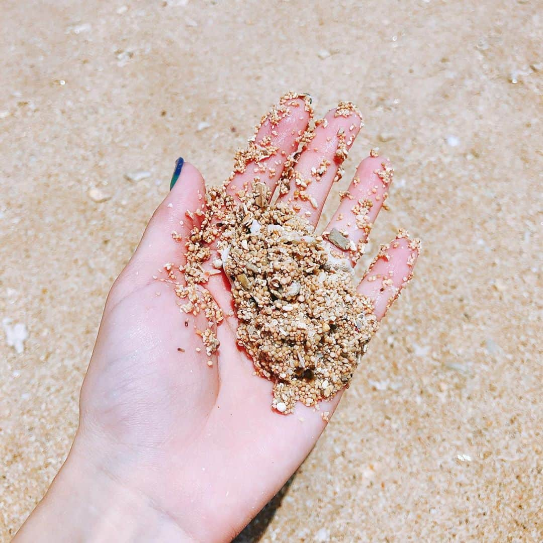 加護亜依さんのインスタグラム写真 - (加護亜依Instagram)「朝からずっと🐬🏖🐠🐚🐢」8月17日 12時45分 - ai.1988kg