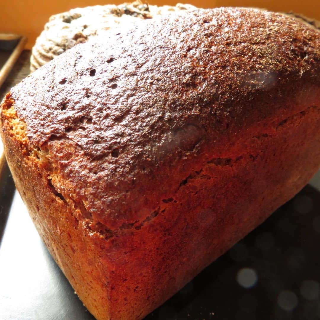 魔女菅原のグルメインスタ