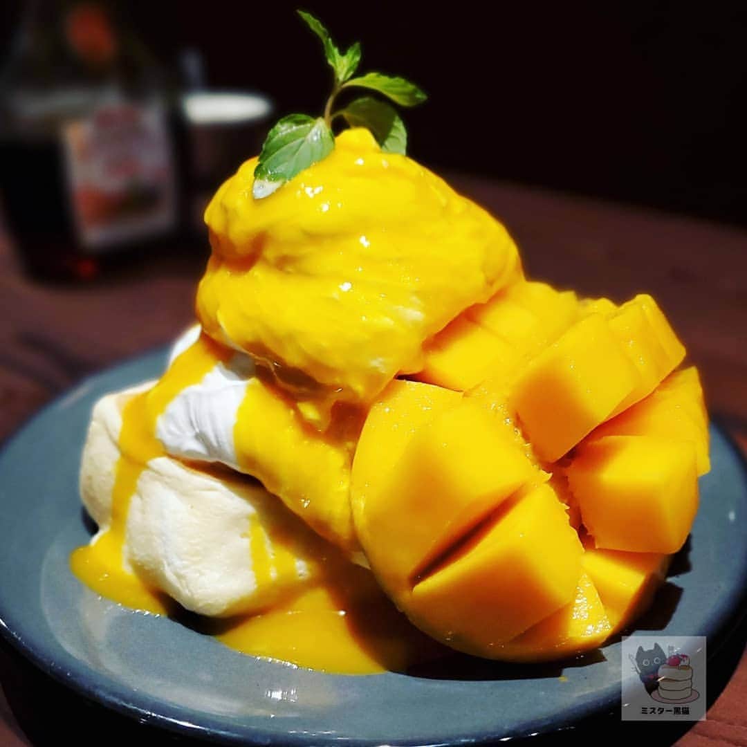 ミスター黒猫（黒猫仙人）のグルメインスタ