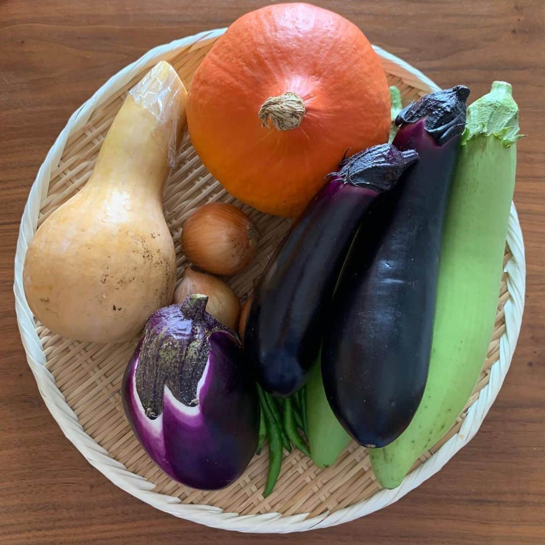 中村優さんのインスタグラム写真 - (中村優Instagram)「生き生き元気なお野菜にときめくお年頃✨🥬🍆🥕✨ @omefarm の野菜のおかげで元気に過ごせてる😚❤️」8月17日 13時20分 - nkmr_yu