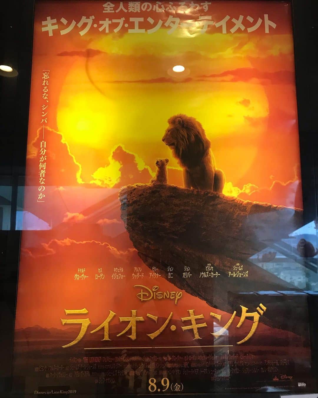 のインスタグラム：「驚くべき再現力！ ギャーーー！！！((((；ﾟДﾟ)))))))だ。 #ライオンキング  #ハクナマタタ」