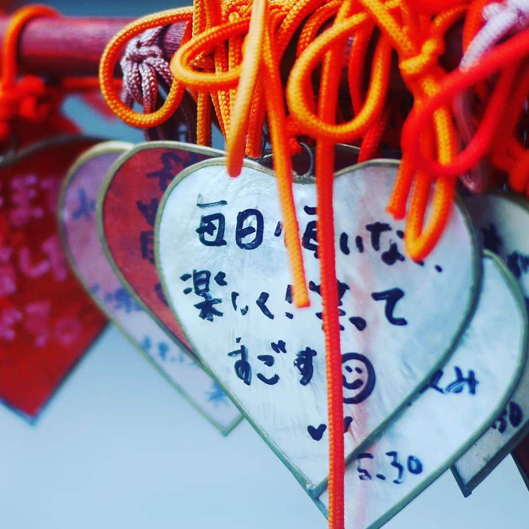 たつをのグルメインスタ