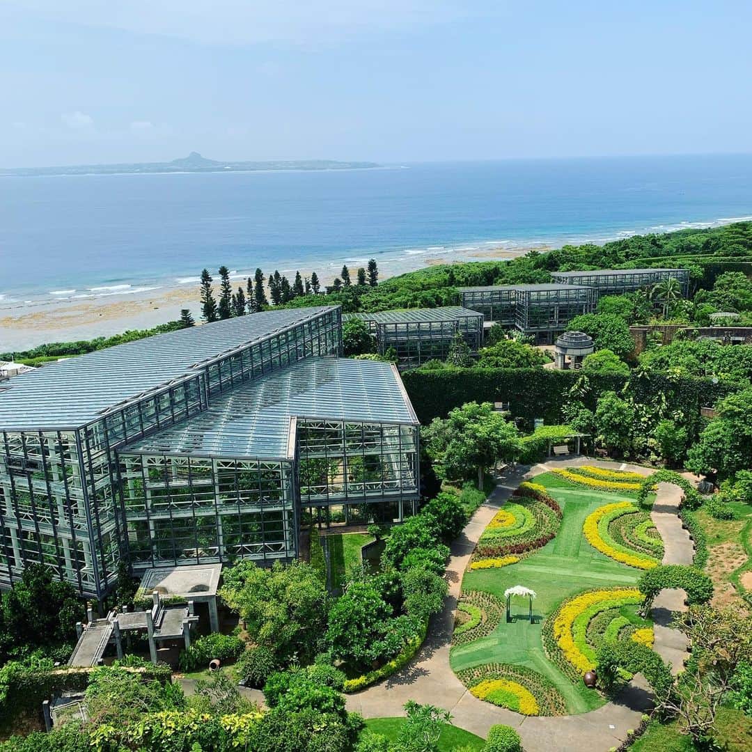 松見早枝子さんのインスタグラム写真 - (松見早枝子Instagram)「沖縄へ行ったら、ぜひすおすすめのスポットは、美ら海水族館と同じ #海洋博公園 内にある、 #熱帯ドリームセンター 。 ・ 幻想的な建物には、珍しいランをはじめとする熱帯植物が展示され、 建物をつなぐ外回廊は、まるでどこか海外にスリップしたかのよう。 ・ バベルの塔のような遠見台を登ると、エメラルドの海と植物園が織りなす美しい景色が！！ ・ たまたま昆虫展をやっていて、宝石のように美しい虫や、子どもの憧れ、特大の #ヘラクレスオオカブト も触れて大満足❤︎ ・ 水族館と違い、ほとんど人がいなくて、もったいないくらい贅沢な時間を過ごせます✨✨ ・ ・ #沖縄旅行 #沖縄スポット #オオゴマダラ のサナギ #粮理家 #ウェルネスフードスタイリスト #松見早枝子」8月17日 14時36分 - saekomatsumi