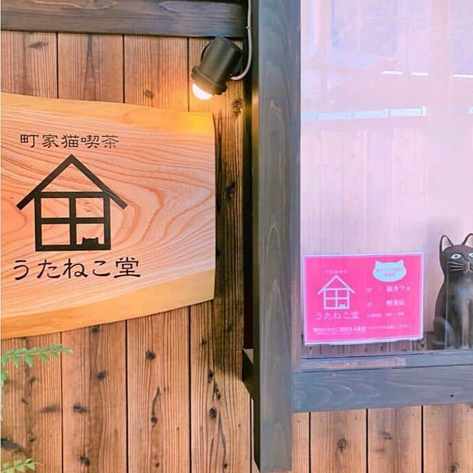 MOVE / ムーブさんのインスタグラム写真 - (MOVE / ムーブInstagram)「❁ ﻿ ┈┈┈┈┈┈┈┈┈┈┈┈┈┈┈﻿ ﻿ 京都にある、町家猫喫茶うたねこ堂が、﻿ とっても癒されるって話題なんです❤︎﻿ ﻿ 一階は純喫茶、二階は、猫カフェの﻿ 構成になっています✨﻿ ﻿ 中でも純喫茶のにゃんこメニューが大人気😻﻿ ﻿ クリームソーダやレモンスカッシュは﻿ とっても可愛いんです！﻿ ﻿ ぜひチェックしてみてね。﻿ ﻿ 郵便番号	〒604-0914﻿ 住所	京都府京都市中京区橘柳町155-4﻿ 電話番号	050-5360-1312﻿ 営業時間	13:00～20:00﻿ 定休日	不定休﻿ ﻿ photoby﻿ ‪‪❤︎‬ @x.hiichanman.x ﻿ MiLKではみなさんからのお写真を募集しています♥﻿﻿﻿﻿ @milk_magazine_﻿﻿ をタグ付けして投稿してね♥﻿﻿﻿ ﻿ ┈┈┈┈┈┈┈┈┈┈┈┈┈┈┈﻿ @milk_web #milk_magazine﻿﻿﻿ #milkmagazine  #カフェ巡り#カフェ# 京都カフェ#京都カフェ巡り#カフェ巡り京都#うたねこ堂 #町家猫喫茶うたねこ堂 #クリームソーダ #クリームソーダ部 #クリームソーダ純喫茶めぐり #喫茶店#喫茶店巡り #レモンスカッシュ #レスカ」8月17日 15時04分 - milkmag_official