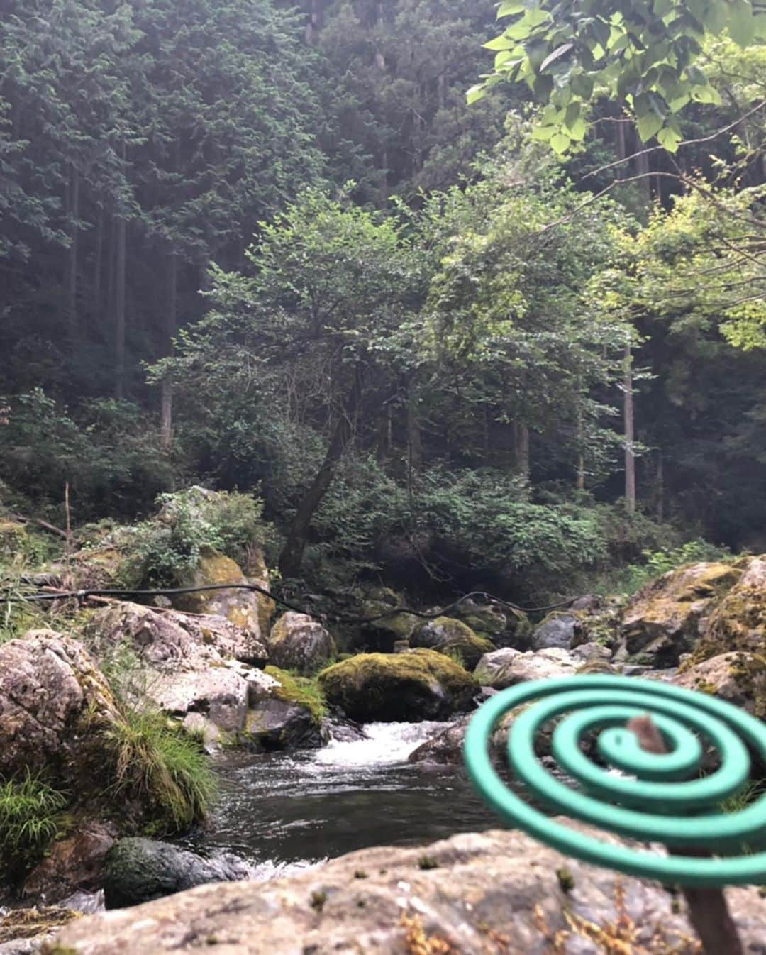 山崎みどりさんのインスタグラム写真 - (山崎みどりInstagram)「川遊び🏕﻿ ﻿  暑いから冷たい川の水が気持ちいいー♪﻿ ﻿ 最初はパシャパシャ遊んでたけど、﻿ ﻿ 途中から、﻿ 川の水をボウルに入れて、﻿ 背後からゆっくり近付いてって、﻿ 背中に思いっきり水をかける！﻿ ﻿ のやり合いが面白かった（笑）﻿ ﻿ からの﻿ ﻿ 夜は花火大会。﻿ ﻿ 線香花火の誰が一番残ってるか競争って大人になっても案外楽しい。﻿ ﻿ ──────────────────────────#キャンプ #バンガロー #川 #夏休み #夏 #夏遊び #シーフード #bbq #🦐 #🥩 #🍖 #🧀 #🐖 #🍺 #花火  #線香花火 #eatingbbq #summervacation #河原 #川遊び #川ご飯 #rivers #蚊取線香は必須」8月17日 21時41分 - midori_yamasaki_