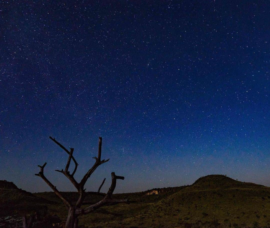 詩歩さんのインスタグラム写真 - (詩歩Instagram)「🌠﻿ ﻿ ケニアで泊まった「ロイサバ スターベッド」。﻿ その名の通り、こんな満天な星空の下で寝ることができるんです！﻿ ﻿ Here’s the “Loisaba Starbed” where you can have a luxury dream under a starry sky.﻿ ﻿ ロイサバ保護区のサバンナの真ん中で、星空に抱かれながら、﻿ 野生動物の鳴き声、風の流れる音、虫の音色を聞きながら眠りにつける…うーん、なんて贅沢な夜なんだ！！！﻿ ﻿ 🐘﻿ ﻿ キャンプしてもテントは屋根がついているもの。﻿ ﻿ 本当の意味での「星空ベッド」って、スターベッドor野宿くらいしかないんじゃ…！？﻿ （ちなみに私はエチオピアで野宿経験あり）﻿ ﻿ 🌙﻿ ﻿ ロイサバ保護区内の建物は、このロイサバホテルしかないので街頭はゼロ。﻿ その代わりに「月明かり」が眩しすぎた！！月ってこんなに明るいの？﻿ ﻿ 満天の星空すべてを写真に収めるのは難しかったんだけれど、流れ星もたくさん見えました🌠﻿ ﻿ ﻿ 👓余談﻿ 私は視力が悪いので、メガネをかけたまま横になって、星空を見ながらそのまま眠っちゃったのですが、朝起きたらメガネが行方不明になっててガチで困りました😇﻿ （メガネがないので探しものもできない）﻿ ﻿ こういうときはレーシックしたくなるんだよねぇ…﻿ 結局シーツの間に落ちてて無事でした。﻿ ﻿ ﻿ #shiho_kenya @loisaba_conservancy﻿ 📍ロイサバ　スターベッド／ケニア　﻿ 📍Loisaba Starbed／Kenya﻿ ﻿ ﻿ ﻿ ©詩歩／Shiho」8月17日 16時54分 - shiho_zekkei