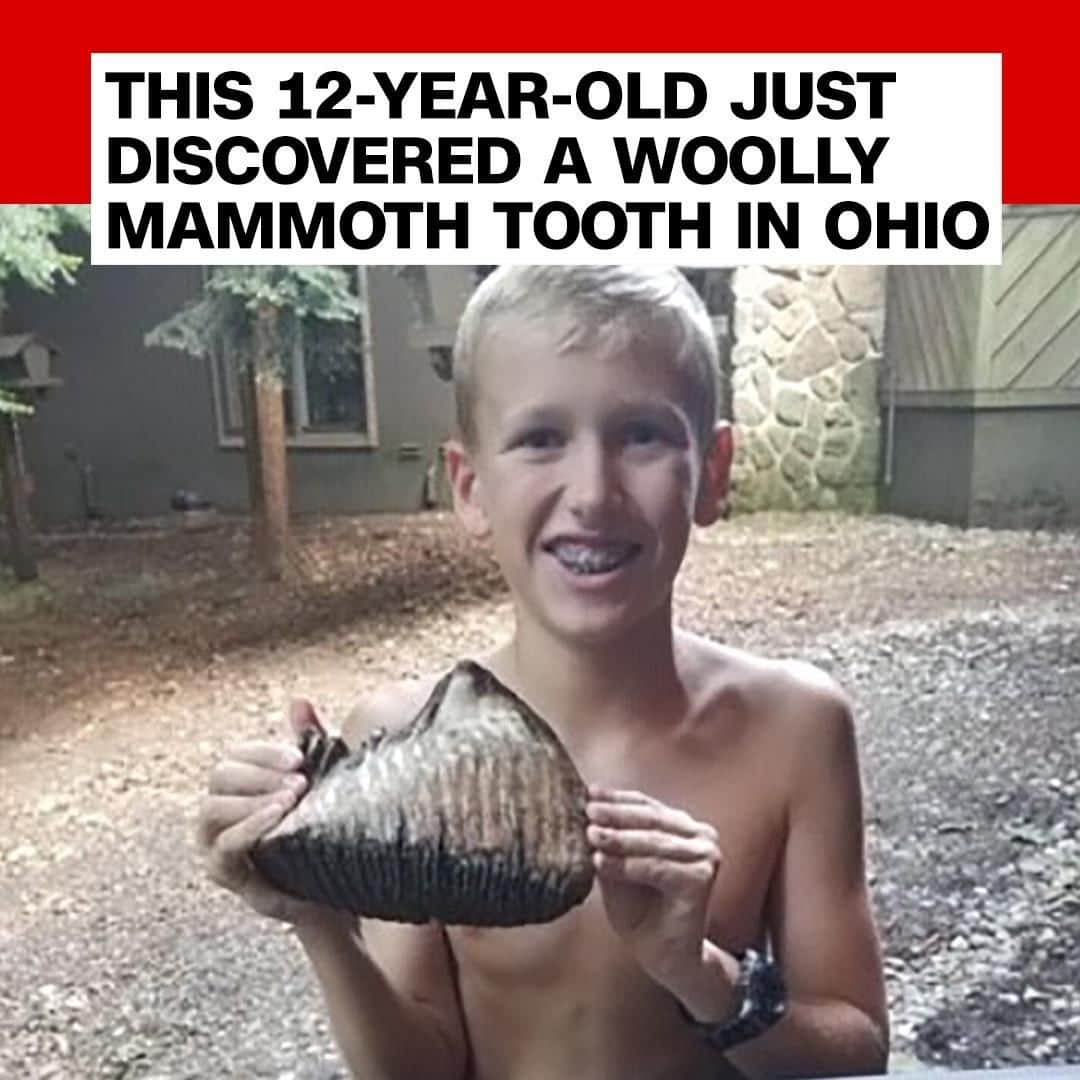 CNNさんのインスタグラム写真 - (CNNInstagram)「Jackson Hepner was playing around an Ohio creek bed last month when he stumbled across an odd, ridged object jutting out of the mud. To his surprise, it turned out to be a very large and very old tooth from a long-dead woolly mammoth. Mastadons and woolly mammoths went extinct about 10,000 years ago, and, according to Ohio History Central, their fossils have been found around the state before. Jackson, 12, drew a map to explain to several experts where he found the tooth, but he had one request: “I would like to have my tooth back in my hands as soon as possible,” he wrote. “I want to show my friends.” (📸: Courtesy the Inn at Honey Run)」8月17日 17時00分 - cnn
