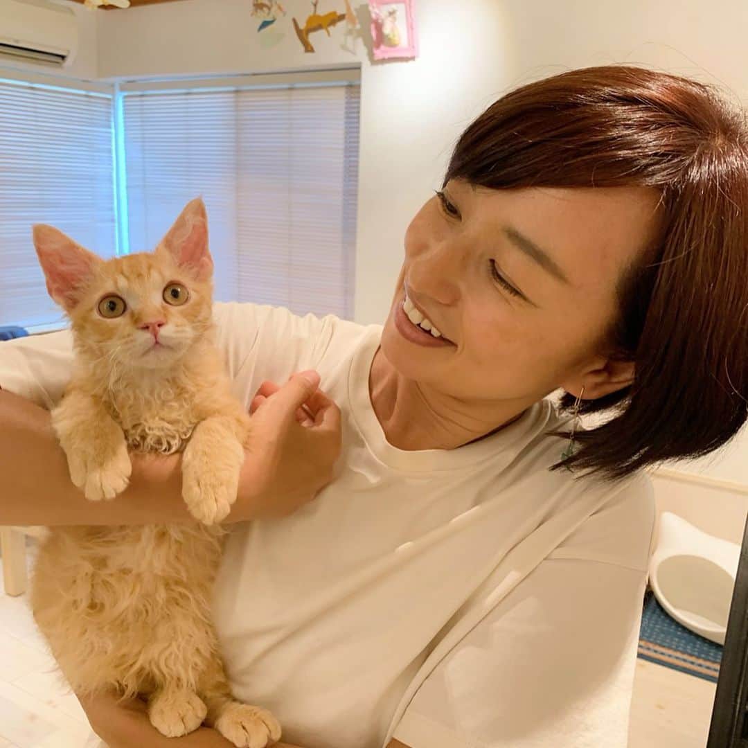 住吉美紀のグルメインスタ