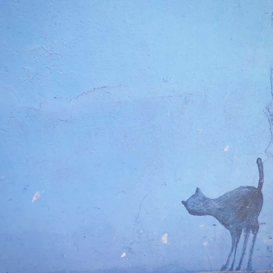 のインスタグラム：「🐈‍⬛」