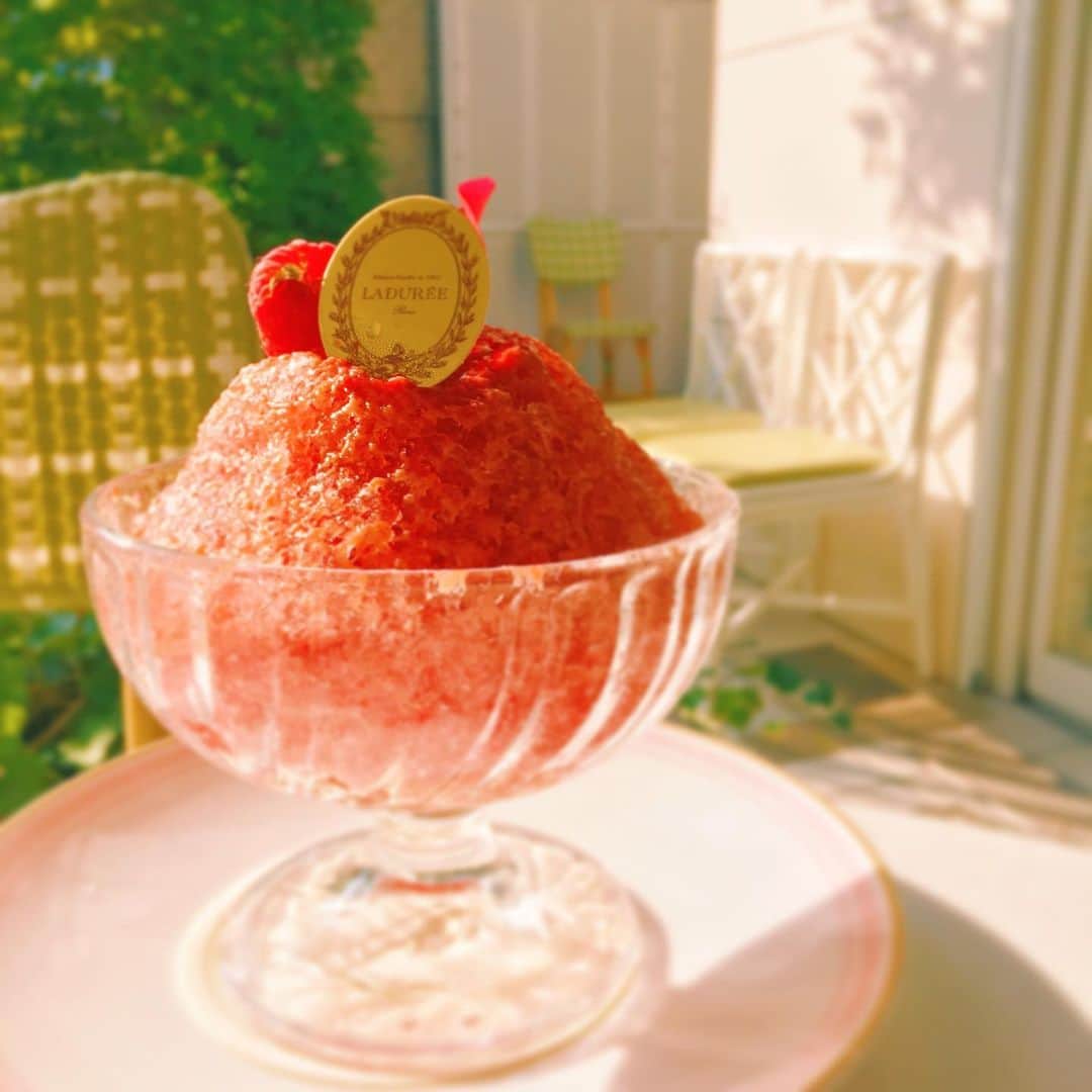 antenna* officialのグルメインスタ