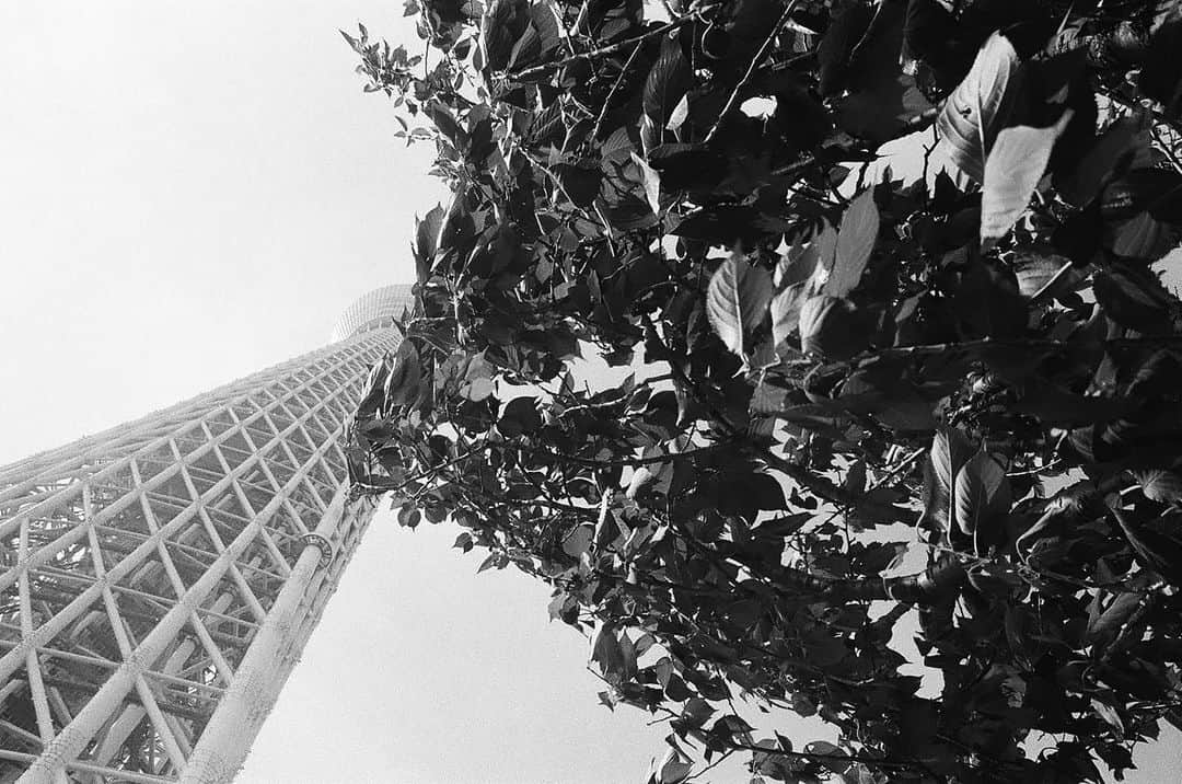北村匠海さんのインスタグラム写真 - (北村匠海Instagram)「The 東京. sky,green,tower,human,summer,concrete,jungle,music,culture. #film」8月17日 18時37分 - take_me_1103