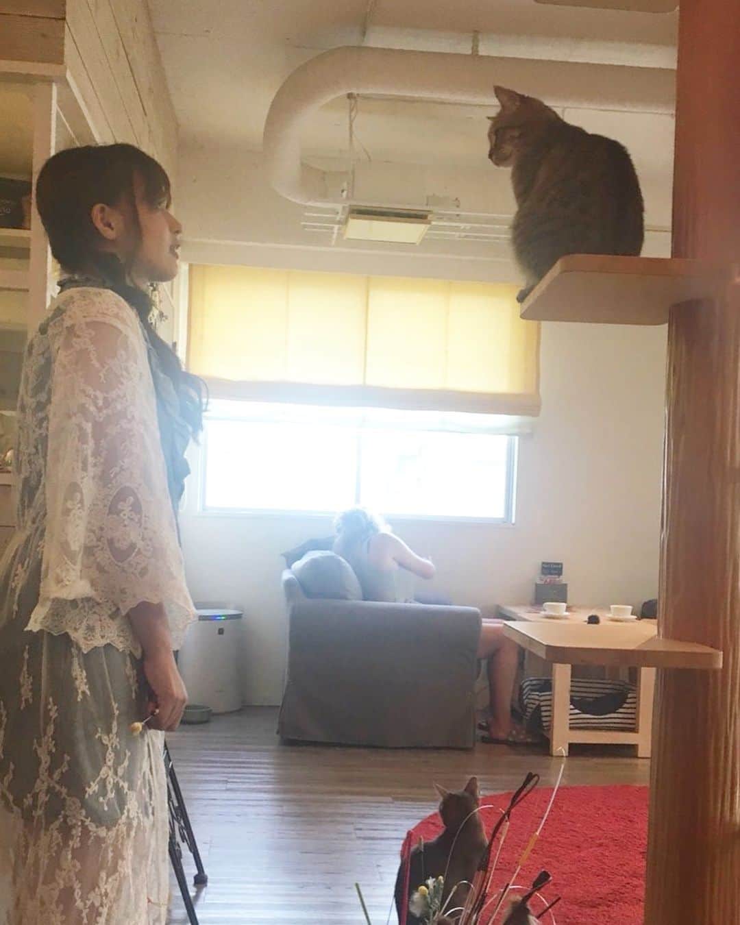 立野沙紀さんのインスタグラム写真 - (立野沙紀Instagram)「運命の出会い、的な？🐱 #instagood #instaphoto #cat #cafe  #猫カフェ #🐱」8月17日 18時38分 - saki_tateno