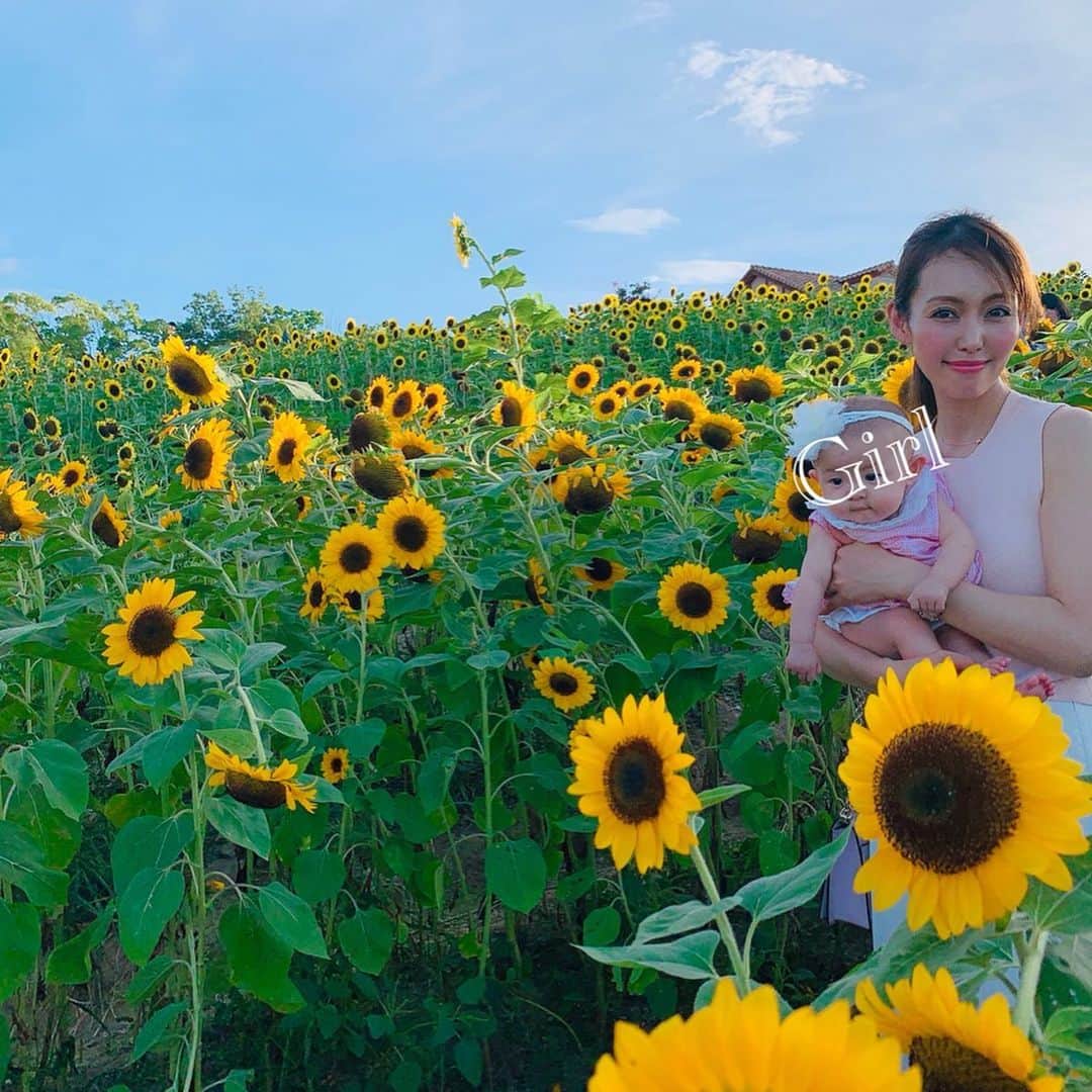 澤野井香里さんのインスタグラム写真 - (澤野井香里Instagram)「#ひまわり畑 🌻を見せてあげたくて家族といとこのお兄ちゃんとで#ハーベストの丘 へ╰(*´︶`*)╯ ﻿ ﻿ パパとたくさん芝滑りできたり、お兄ちゃんと観覧車🎡にも乗れて楽しそうなSくん＾＾ ﻿ ﻿ それにしても溶けそうな程暑くて、アイスとかき氷🍧ばかり食べてた😂﻿ ﻿ 夕暮れliveの後は、寝転んで見る花火🎆✨ ﻿ ﻿ キレイだったな💕﻿ ﻿ 帰りは日帰り温泉♨︎の極楽湯に寄って、帰ったら寝るだけコース＾＾ #ks_osaka✨ #ks_19✨ #大阪 #子供とおでかけ #京都ママ #関西ママ #男の子ママ #女の子ママ #ママライフ #ママリ #コドモノ #ベビフル #赤ちゃんのいる生活 #S⭐️_ #M🍒_  #s⭐️m🍒」8月17日 18時48分 - kaori_sawanoi