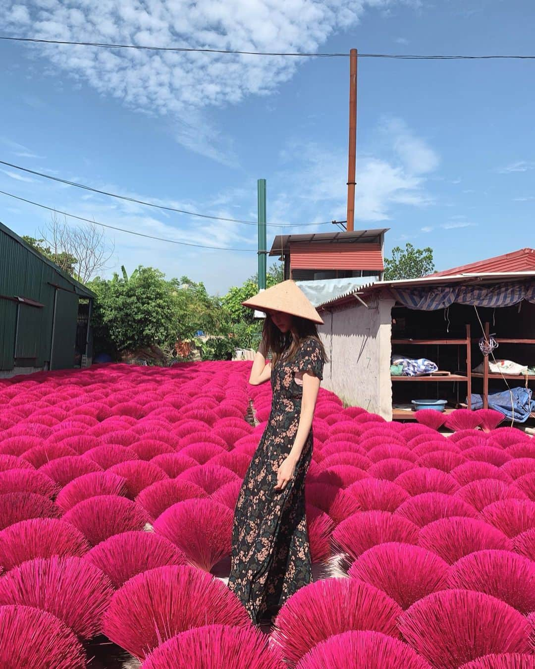 蓼沼楓さんのインスタグラム写真 - (蓼沼楓Instagram)「Their history 🌺💘🦋 #vietnam」8月17日 18時53分 - pyon_sta