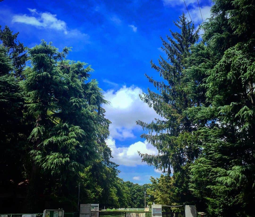 羽原信義のグルメインスタ