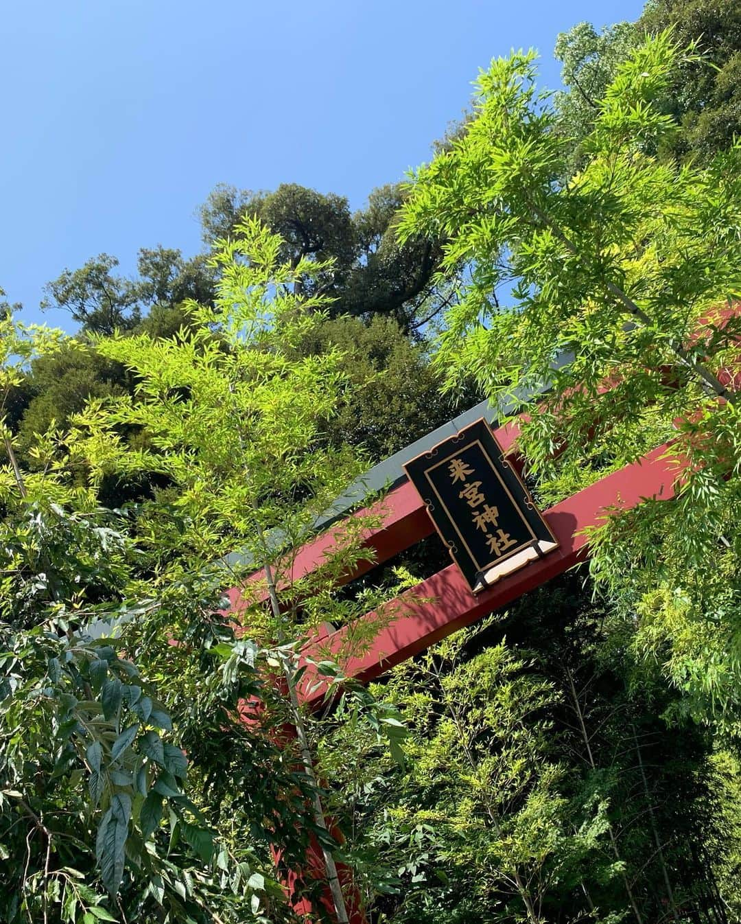 細田阿也さんのインスタグラム写真 - (細田阿也Instagram)「#来宮神社  #熱海旅 #熱海  #atami  #熱海銀座 賑わってた♡ #海鮮丼 #熱海グルメ #熱海プリン 集結！  #MARUYATerrace  #CAFERoCA」8月17日 19時26分 - hosodaaya