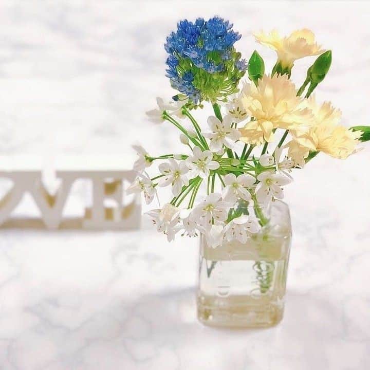 Bloomee LIFEさんのインスタグラム写真 - (Bloomee LIFEInstagram)「・⠀ さわやかな配色のミニブーケのご紹介🌿⠀ ⠀ ブルー、ホワイト、イエローと清涼感たっぷりな組み合わせが素敵です。⠀ ⠀ ガラス製の透明な花瓶で、お花だけでなく茎部分のグリーンも活かされていて、夏らしい彩りを感じます◎⠀ ・⠀ Special Thanks Photo by⠀ @eri_from_somewhere⠀ ・⠀ --- #ヒマワリみつけた 🌻---⠀ 季節のお花で夏をシェアしよう！⠀ 夏を感じる【ヒマワリブーケ】をプレゼント🎁⠀ ・⠀⠀ お花は私たちに、季節を見つける楽しさを教えてくれます。⠀ 夏になると、ヒマワリが道端で元気に咲く姿や、⠀ 街にもヒマワリ模様があふれて、ふと見れば私たちのすぐそばに。⠀ ・⠀⠀ 身の回りで見つけたヒマワリと一緒に、⠀ あなたが夏を感じる瞬間をシェアしてみませんか？⠀ ・⠀⠀ 詳しくは"プロフィールトップのハイライト"をチェック👌⠀⠀ ・⠀⠀ 当選者の方にはbloomee LIFE 公式アカウントより⠀⠀ DMにてご連絡させていただきます✉️💐⠀⠀ ・⠀ #bloomeelife#ブルーミーライフ#花のある生活#花好きな人と繋がりたい#おうち時間#花部#花写真#花が好き#花を飾る#暮らしを楽しむ#日々の暮らし#丁寧な暮らし#日々#お花のある暮らし#ナチュラル#素敵な休日#暮らしを整える#くらしのきほん#日々の暮らしを楽しむ#丁寧に暮らす#マイルーム#ホワイトインテリア#こどものいる暮らし#シンプルに暮らす#ナチュラルインテリア#賃貸インテリア#夏を楽しむ#北欧インテリア」8月17日 20時00分 - bloomee