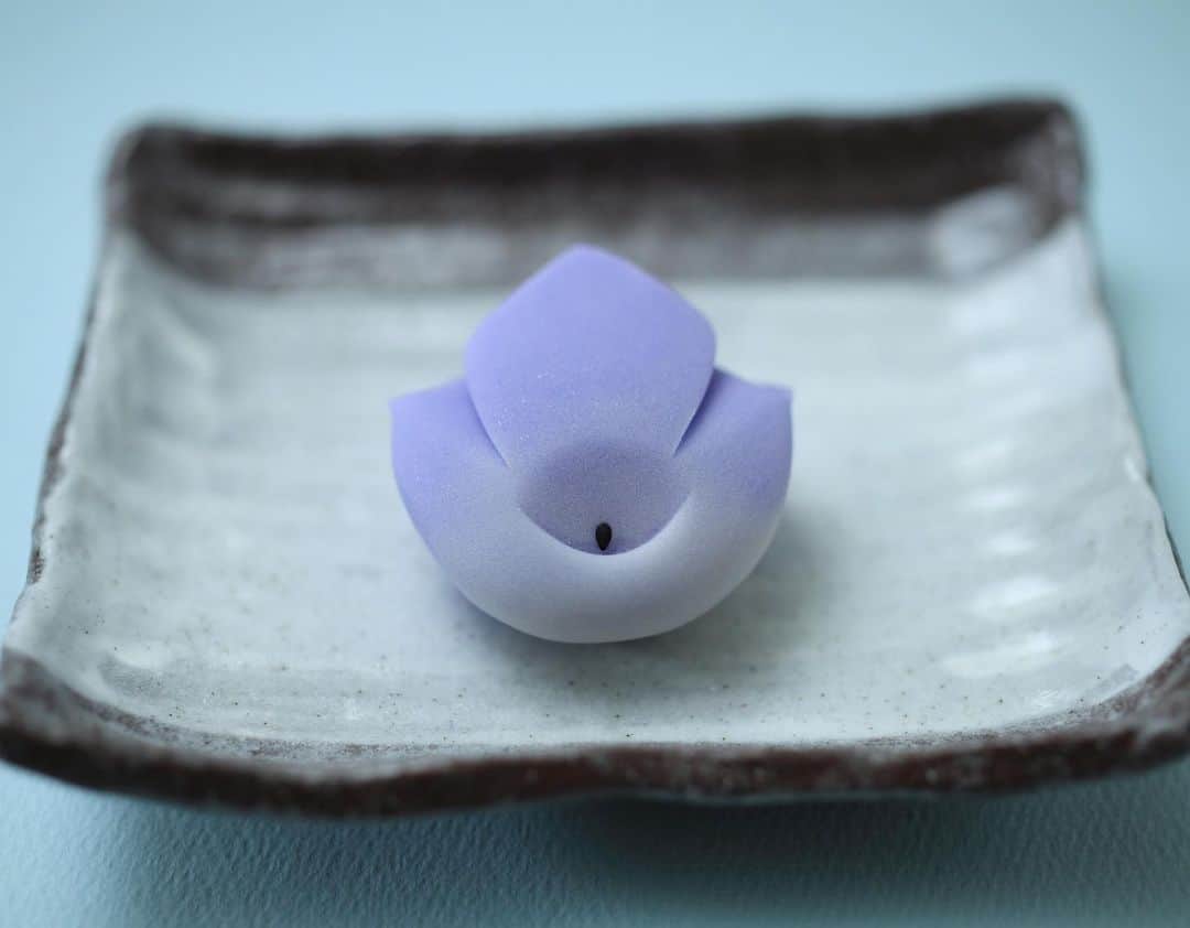 のインスタグラム：「今日の和菓子はねりきりで作った桔梗です。 ねりきりとは白餡に餅や芋を混ぜて作った和菓子で 茶道 で使われる「主菓子」の一種です。 撮影 用に作成しました。  フェイスブックページのいいね！もよろしくお願いします。 https://www.facebook.com/shishisu/ Today's wagashi is  Chinese bellflower with Nerikiri. The Nerikiri is the material of wagashi made by mixing the rice cake and yam in white bean. Is a kind of "Jounamagashi" as used in the tea ceremony. The sweets I've made for the shooting.  #福泉堂  #和菓子  #おいしい #funny #my_eos_photo #出雲  #wp_delicious_jp #カメラ好きな人と繋がりたい  #写真好きな人と繋がりたい　 #model #life #可愛い #Japan #wagashi  #جميل #красивый #ファインダー越しの世界 #design #work #ig_color  #happy #Mignon  #igfood #lifestylenipponpic #photooftheday #สวย #sweets #kawaii #yummy」