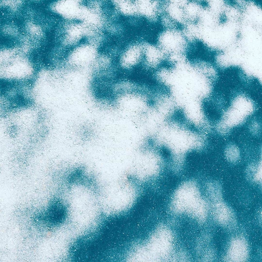 中野敬久さんのインスタグラム写真 - (中野敬久Instagram)「#light #shadow #pattern #summer #komorebi #sunday」8月18日 6時18分 - hirohisanakano