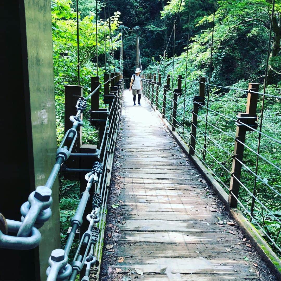 橋本紀代子さんのインスタグラム写真 - (橋本紀代子Instagram)「高尾山⛰ 電車で1時間で行ける登山」8月17日 21時47分 - kiyokohashimoto