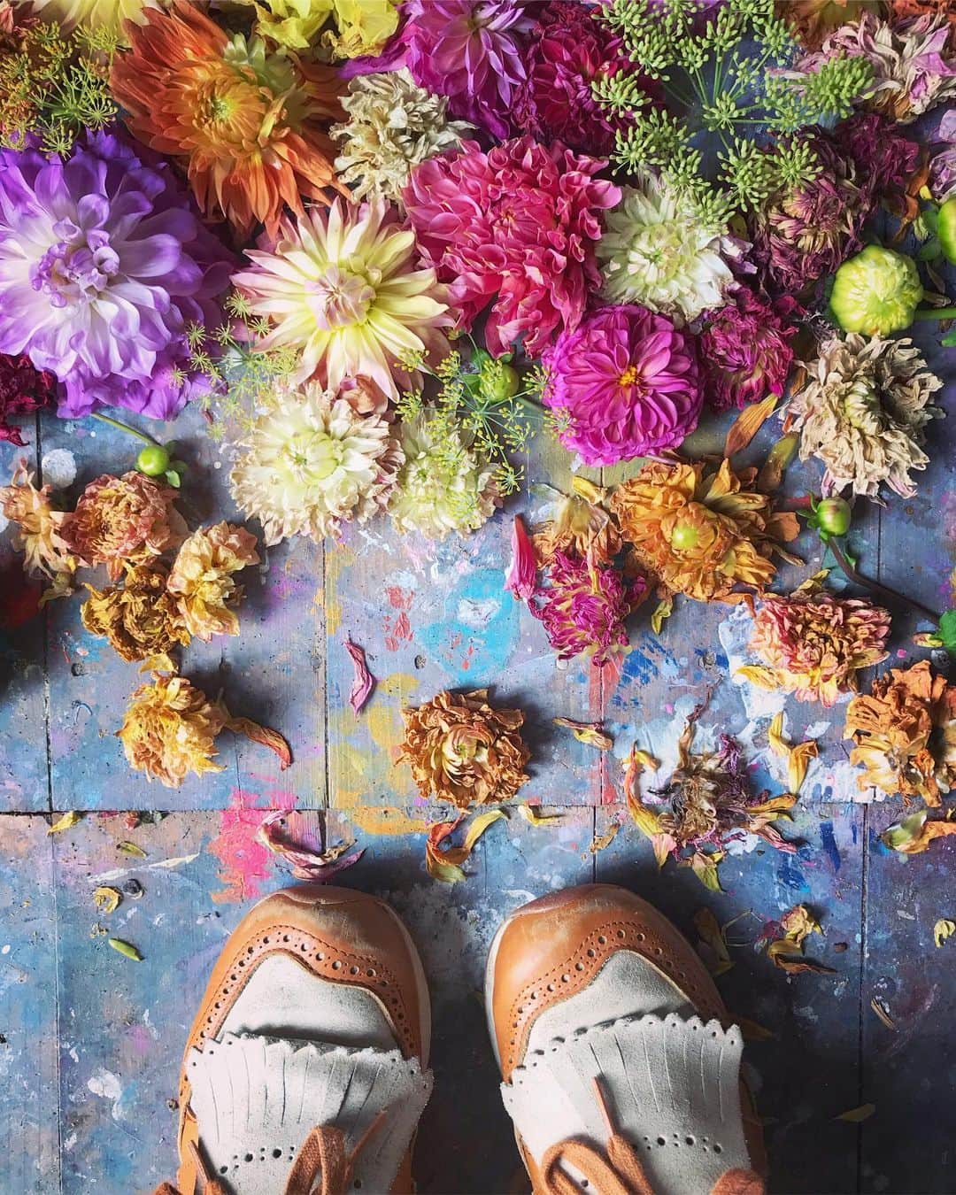 Tea and sittingさんのインスタグラム写真 - (Tea and sittingInstagram)「🌸🍂...I made these compositions during a Live story today where I incorporated living, dying and dried dahlias onto the floor of my shed...and I love that both images here emerged from suggestions during the Live! ( btw I’ve saved the demo for 24hrs if you wanted to watch it ) 🌿 #dahlialove #dahlias #wabisabi」8月17日 21時57分 - 5ftinf