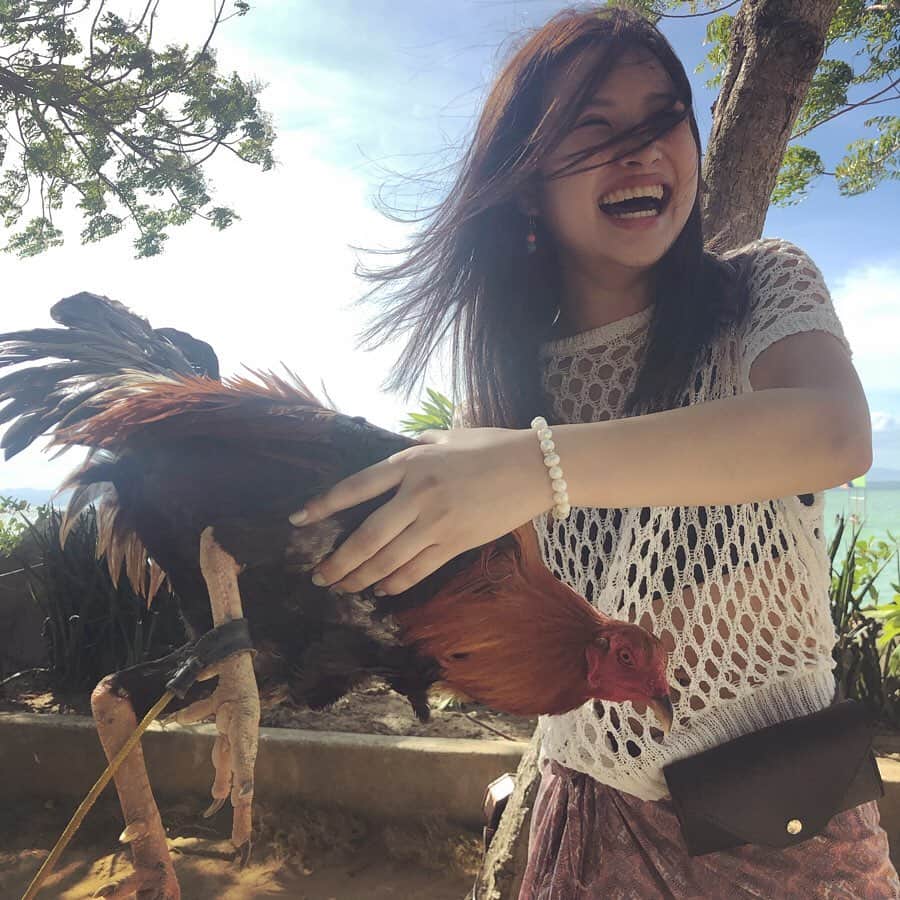 石井美音奈さんのインスタグラム写真 - (石井美音奈Instagram)「answer is Chicken  私は笑うがニワトリは怒！ごめんね 🇵🇭 #philippines #cebu#留学 #留学生活 #フィリピン」8月17日 22時01分 - mionaishii