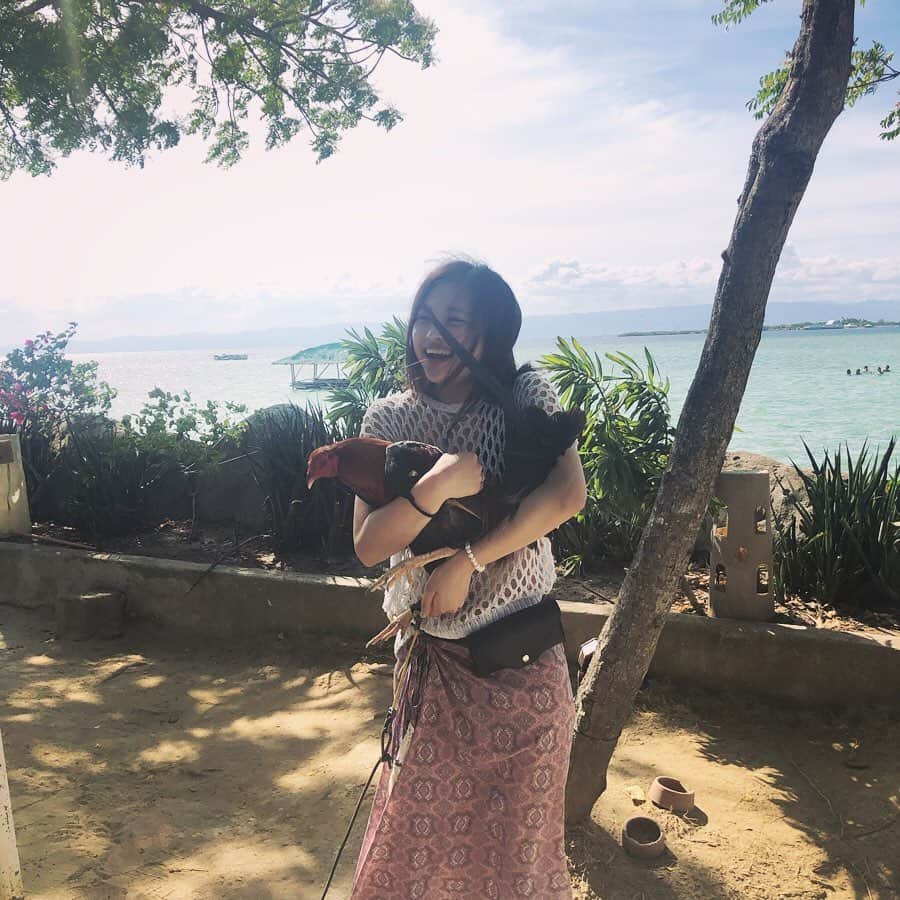 石井美音奈のインスタグラム：「answer is Chicken  私は笑うがニワトリは怒！ごめんね 🇵🇭 #philippines #cebu#留学 #留学生活 #フィリピン」
