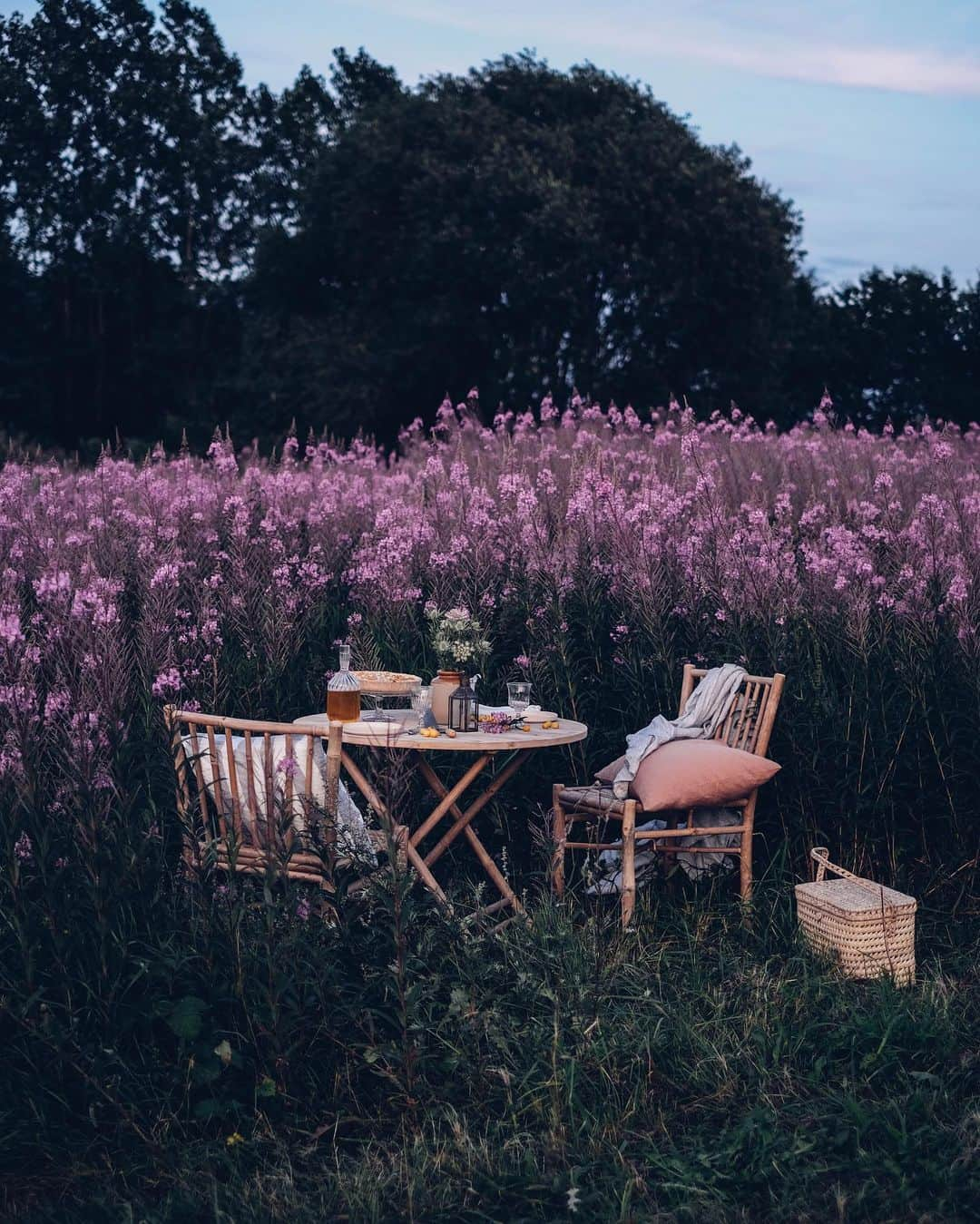 Our Food Storiesさんのインスタグラム写真 - (Our Food StoriesInstagram)「Werbung|Advertisement From yesterday‘s dreamy picnic with a delicious gluten-free mirabelle cake (will share the recipe on the blog soon😋) and the most beautiful outdoor furniture and cozy linen cushions from @tinekhome 🌸💞🌿 #ourfoodstories_travel  ____ #tinek #tinekhome #outdoorfurniture #gardeninspo #gardendesign #gardenista #countrysideliving #visitskåne #countrysidewalk #gatheringslikethese #simplejoys #blooooms #picnicfood #picnicparty」8月17日 23時10分 - _foodstories_