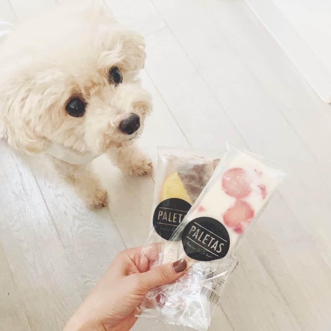 mizuのインスタグラム：「まさか地元で食べれるとは思わなかった♡ お腹いっぱいだったからお持ち帰り。」