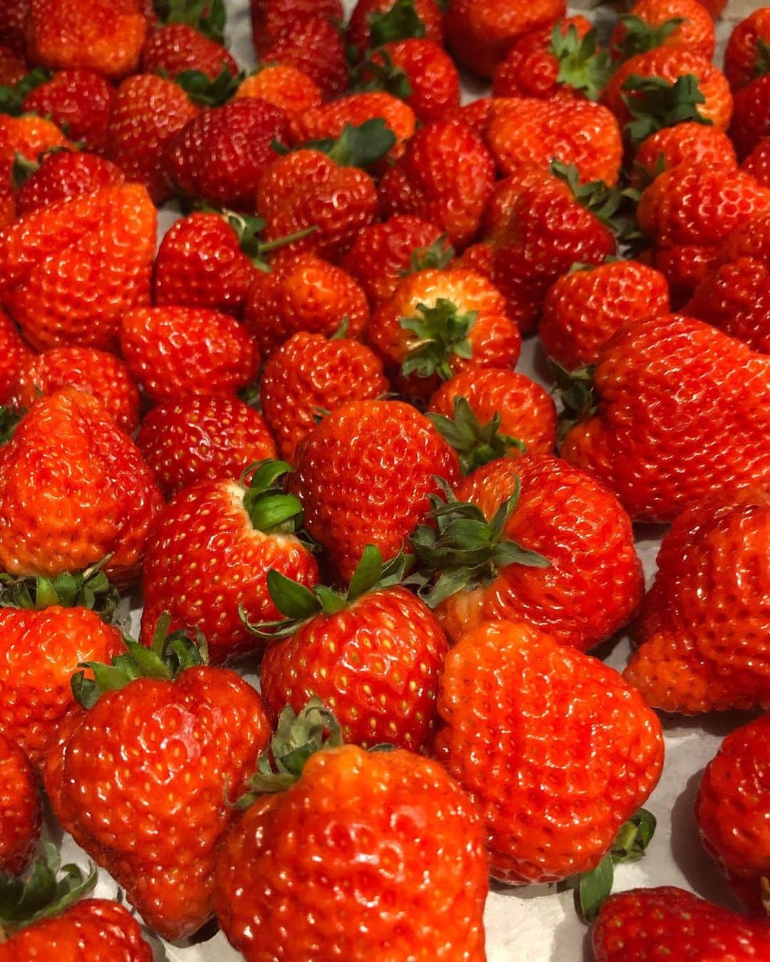 DOMINIQUE ANSEL BAKERYさんのインスタグラム写真 - (DOMINIQUE ANSEL BAKERYInstagram)「@oishii.berry Omakase strawberries, fragrant and sweet.🍓 Waiting for the day when someone invents a way to smell through your screen. 🤣」8月17日 23時25分 - dominiqueansel