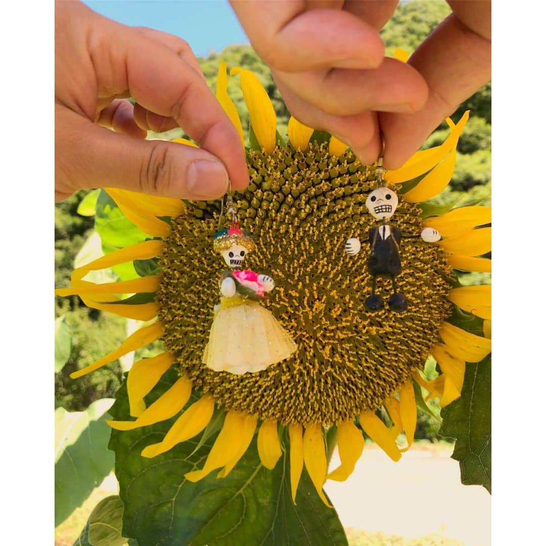 森千波さんのインスタグラム写真 - (森千波Instagram)「8/5🌻 #1000hana  #sunflower#paradise #ひまわり#ひまわり畑」8月17日 23時45分 - 1000wave