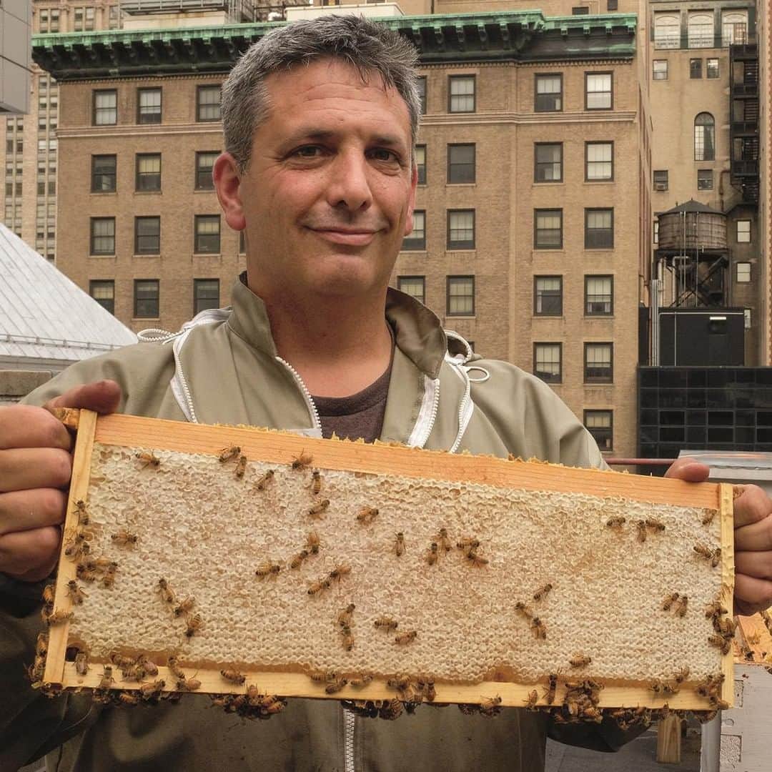 のインスタグラム：「Happy #HoneyBeeDay! Our associates aren’t the only one who keep busy at 346 Madison Ave. Nestled on the roof of our flagship store, over 300,000 #BrooksBees work diligently to produce close to 600 lbs of honey per year (a good portion of which is sold at our @RedFleece Cafes). Head to our stories for some educational trivia on our rooftop bees. #NationalHoneyBeeDay」