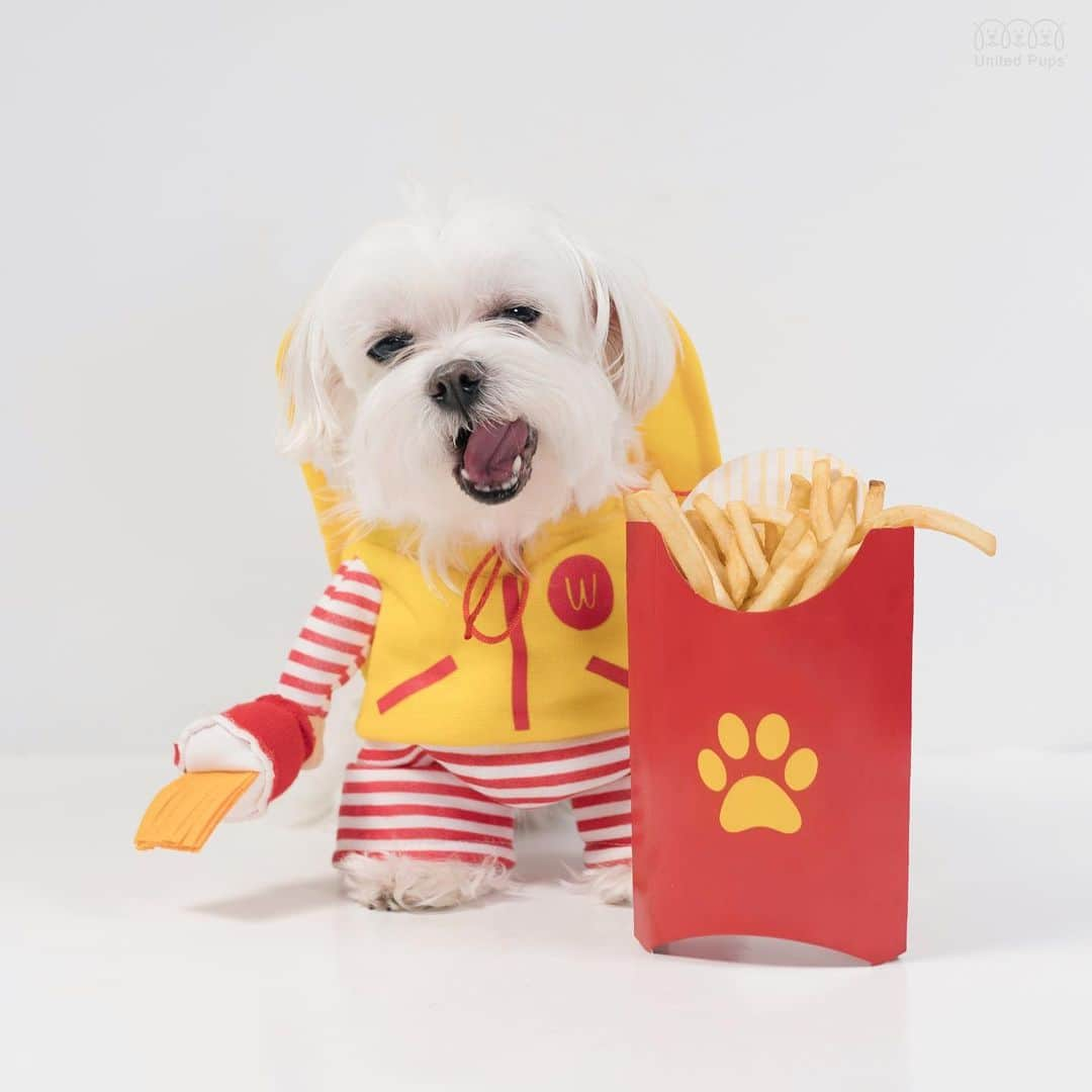 hi.arodさんのインスタグラム写真 - (hi.arodInstagram)「Woofer eats🚗! Free kiss provided😘💋! ・・・・ #wooftoday#woofwoof#bestwoof#woofer#fries#fries🍟#allforyum #frenchfry #frenchfries#allforyum#frenchfries#dailyfries #allfriesgotoheaven #🍟 #frieslover#mcd#mcdonalds#mcdonalds🍟#mcddelivery#whitedog#whitedogo#whitedogsofinstagram#maltes#maltés#maltese #dallasdogs #dallasdog #texasdogs」8月18日 0時14分 - hi.arod