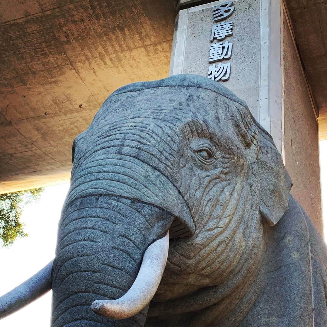 松尾諭のグルメインスタ