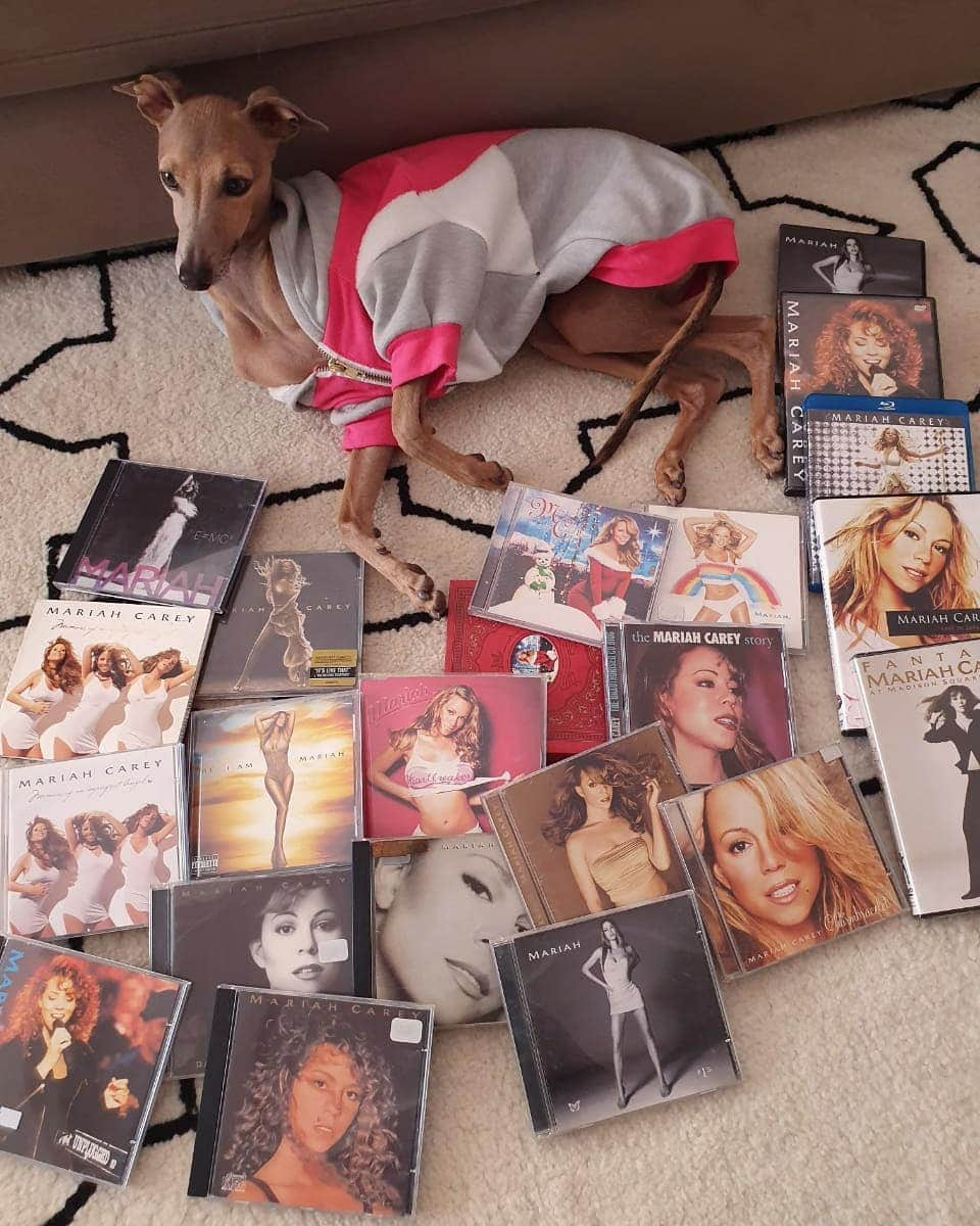 euanittaさんのインスタグラム写真 - (euanittaInstagram)「That's my family waking me up today telling me @mariahcarey followed me. For the ones who don't know, my 2 aunts and my mom were obsessed about her. So when I was born I was the best student ever for them and became an even better fan. That's why I started to say I wanted to be a singer so early in life. My uncle use to present us every Christmas with a new MC cd and we always use to celebrate going craaaaaazy. (Cuz in that time we didn't have money to buy ourselves). So this one and only cd of hers of the year used to spend one week in each of us' houses. And I use to go to their houses with the cd to keep listening lol. (When I got money I bought 2 of each cd for us so we could listen as much as we wanted.) When she came to Brazil, we didn't have money to go see. I remember me listening to her concert on the radio crying cuz I wasn't there. My birthday is 2 days after hers and sometimes we use to celebrate her birthday with mine lol. When I could finally have enough money to travel all the family to see her show, everytime I tried some shit happened and we couldn't make it (sorry for some empty front seats u must have seeing sometimes. It was ours and we were as pissed as u probably were seeing that was empty.) I don't give a fuck that it's just a Instagram follow stuff. I'm not trying a feat, not trying a meet, I’m not trying an answer here... actually I'm not trying shit. I'm just sharing how crazy is life. I grew up with her in my heart every day as my inspiration from very very far away and now she knows who the fuck I am. That's crazy as fuck.」8月18日 0時13分 - anitta