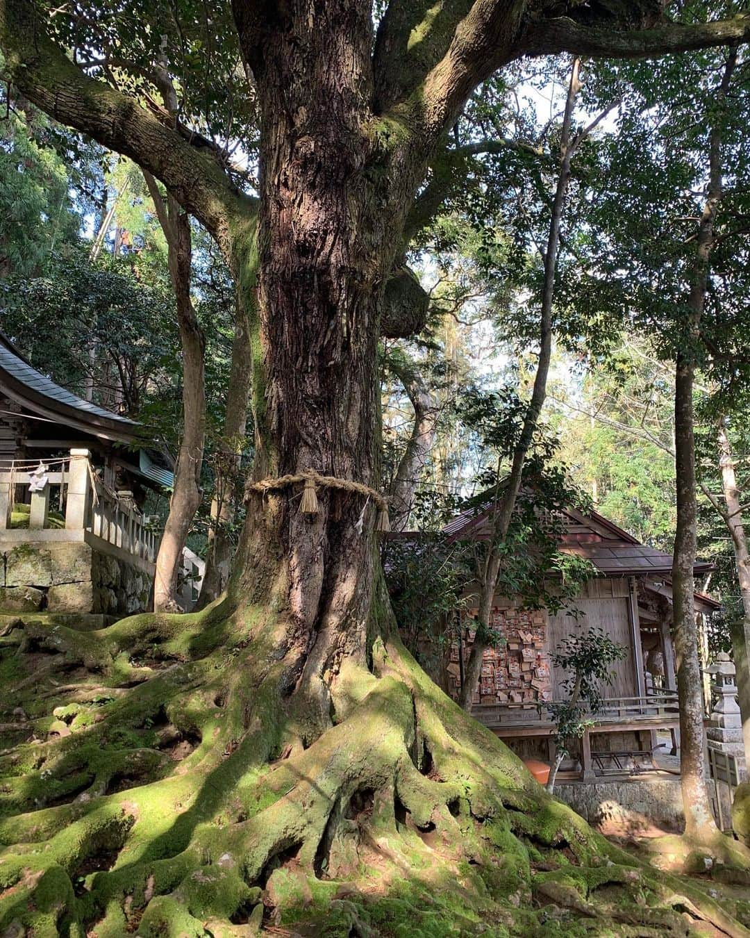 出雲阿国のインスタグラム