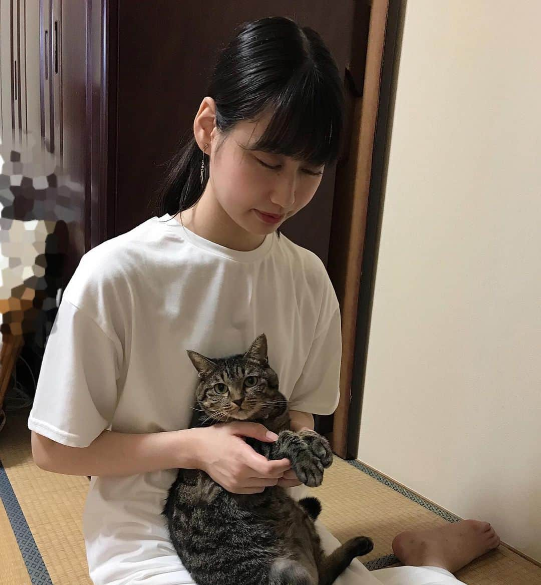 安陪恭加さんのインスタグラム写真 - (安陪恭加Instagram)「おあけみちゃんと一緒にお仏壇で手を合わせようとしたら、全然カメラ目線。笑  #猫 #ねこ #かわいい #ペット #あけみちゃん」8月18日 0時26分 - kyoka_noir