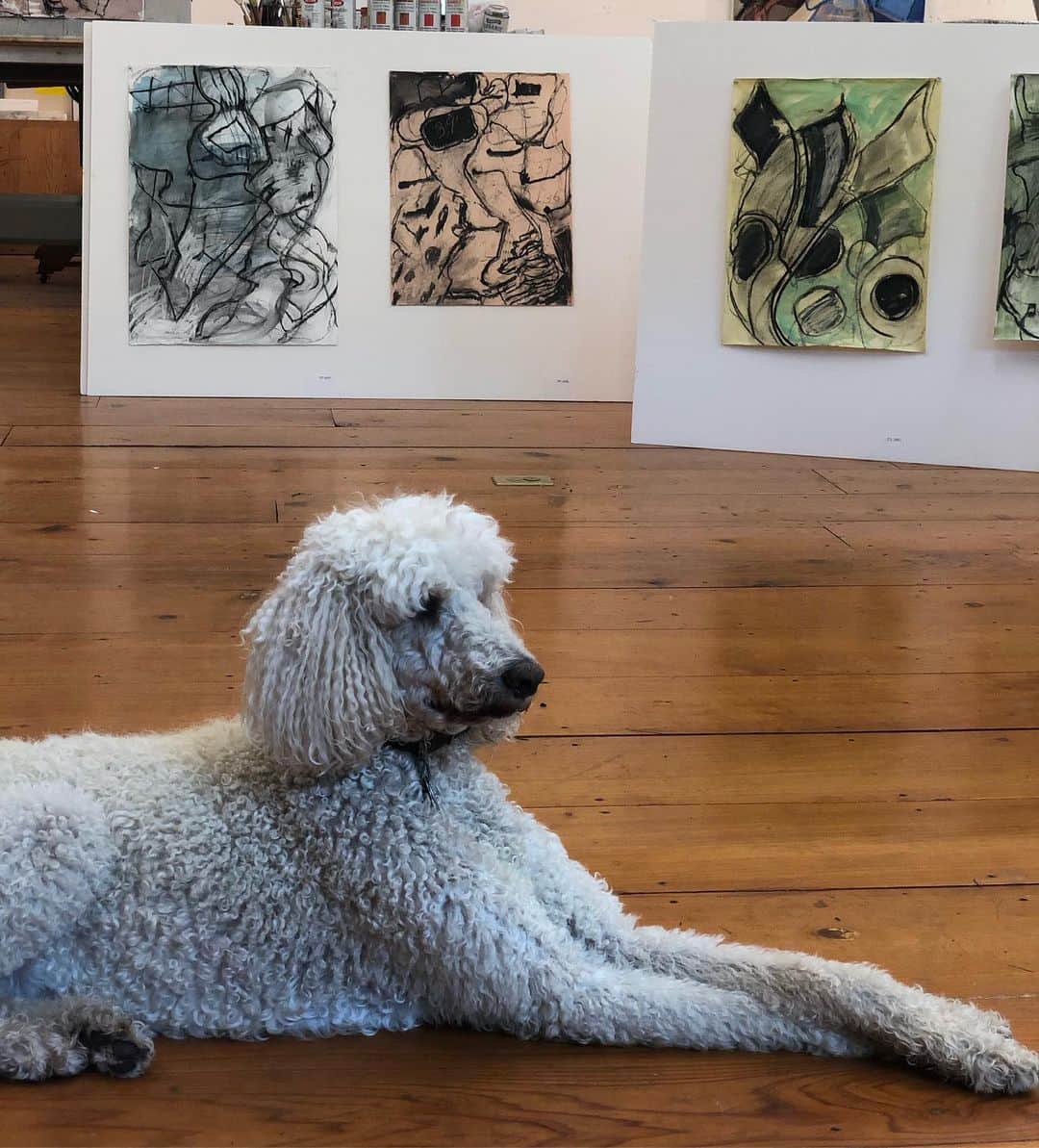 のインスタグラム：「Morning Visit with  bozart and my father @stephenposen at his studio in #buckscounty I love his new drawings.」
