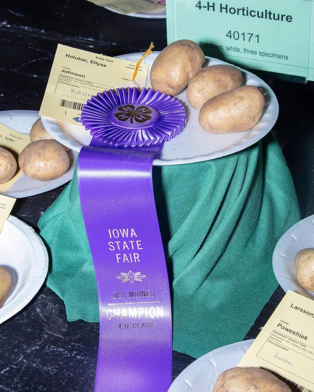 TIME Magazineさんのインスタグラム写真 - (TIME MagazineInstagram)「Pigeon competitions and award-winning potatoes are just some of the highlights at the #Iowa State Fair, which kicked off Aug. 8 and will wrap up on Aug. 18 in Des Moines. Not to mention all the Democratic presidential candidates, which are trying to foster connections with voters ahead of the Iowa caucus in February 2020. In these photographs: potatoes are displayed on Aug. 10; a boom mic is seen above the fray as @pete.buttigieg greets fair-goers on Aug. 13; an overflowing trash can; people look up as Buttigieg rides the Sky Glider; and Jett Thomas, 17, holds his 2.1-pound pigeon after judging in the Heaviest and Lightest Pigeon Contest on Aug. 12. (It's not his first win.) See more pictures at the link in bio. Photographs by @mscottbrauer for TIME」8月18日 1時17分 - time